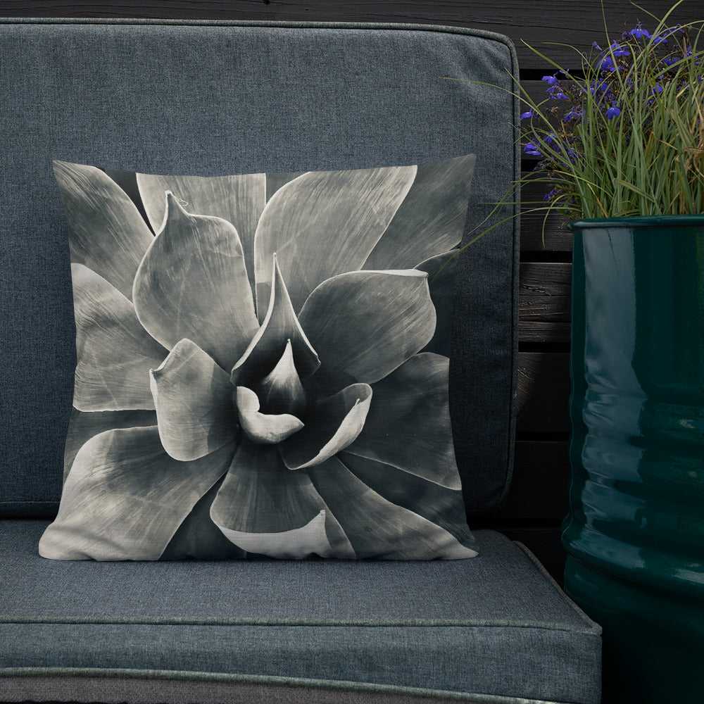 Agave (b + w) {a premium pillow}