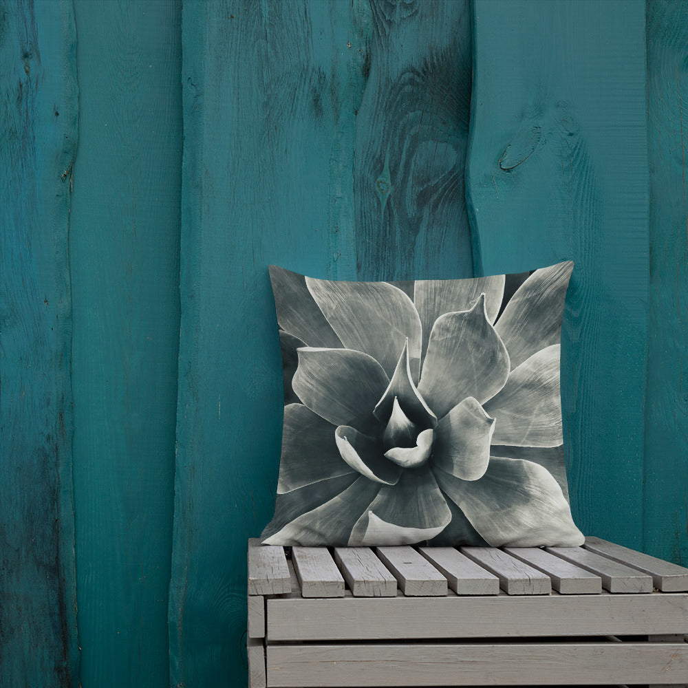 Agave (b + w) {a premium pillow}