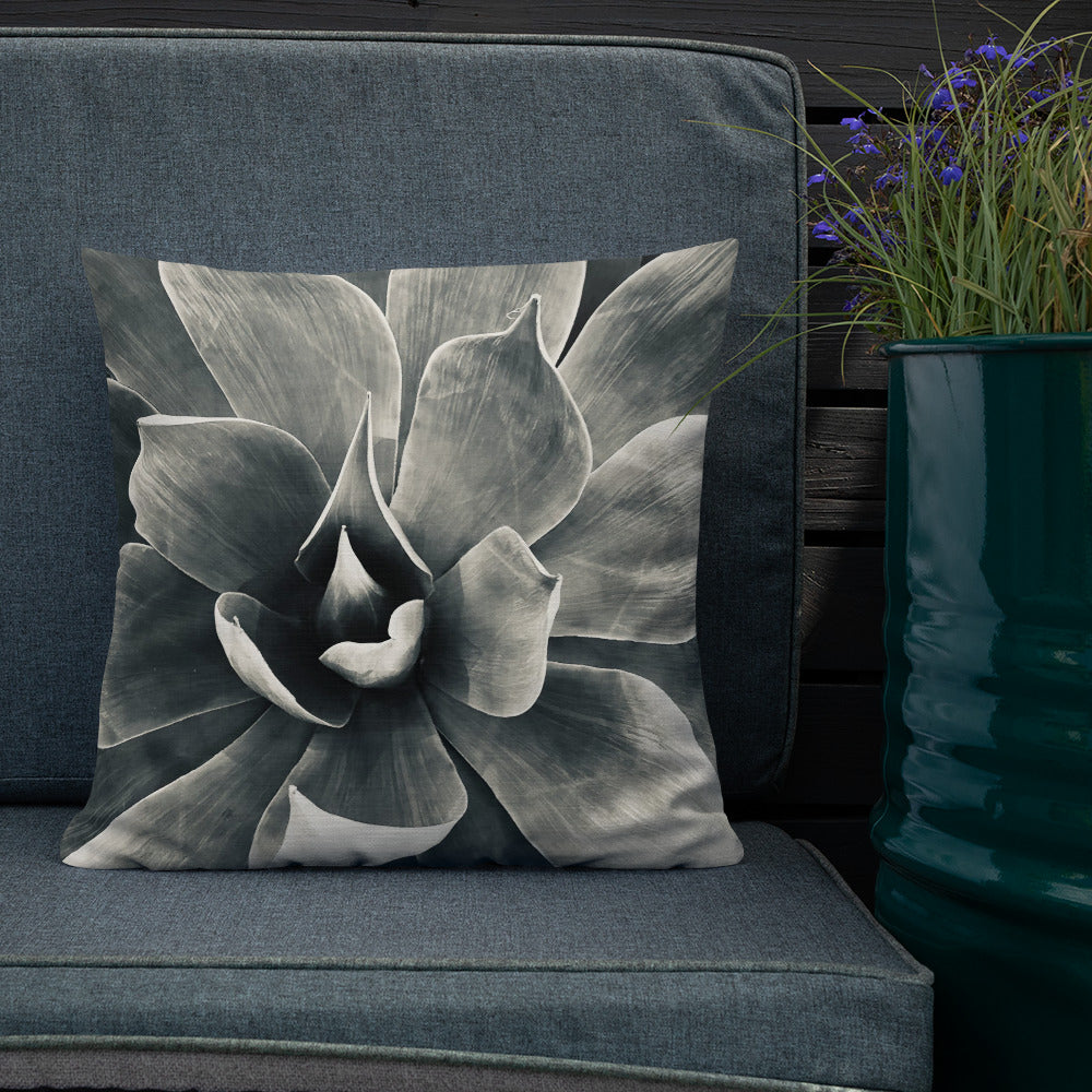 Agave (b + w) {a premium pillow}