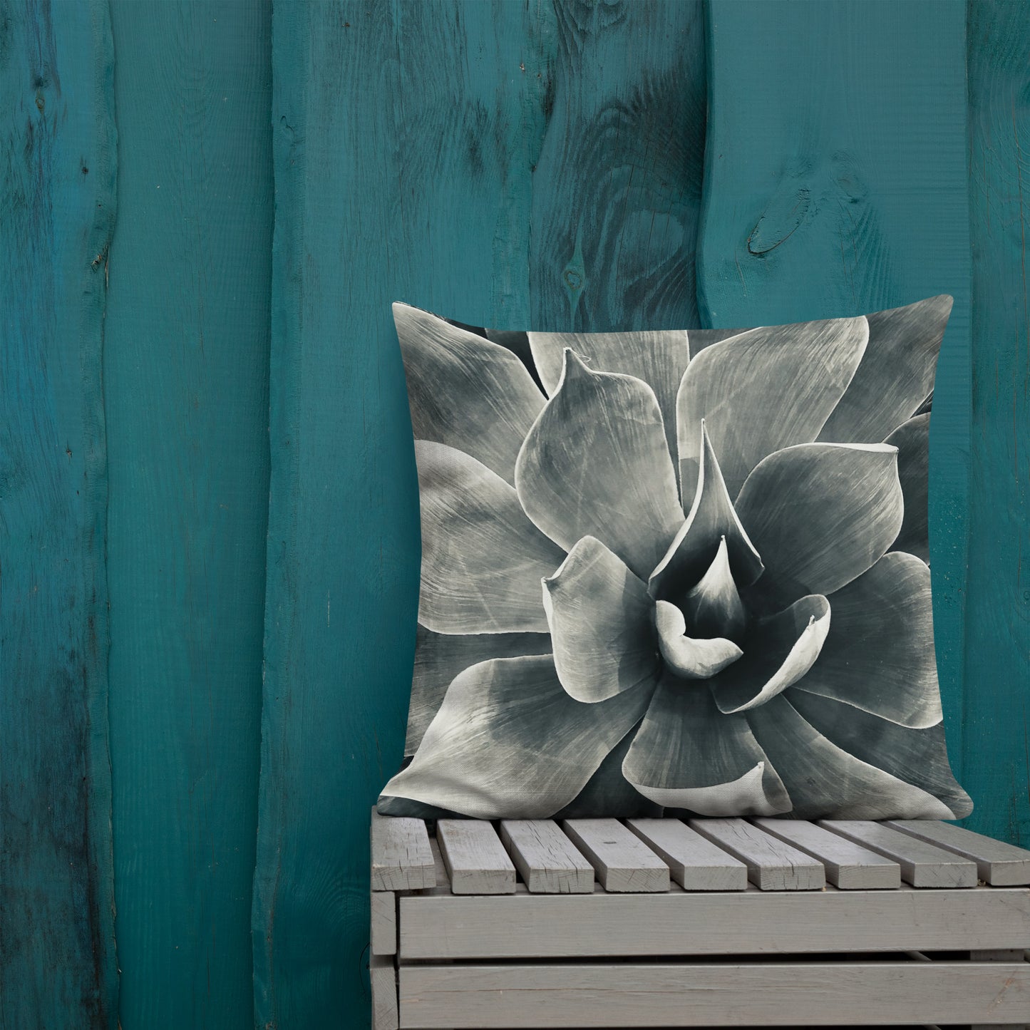 Agave (b + w) {a premium pillow}
