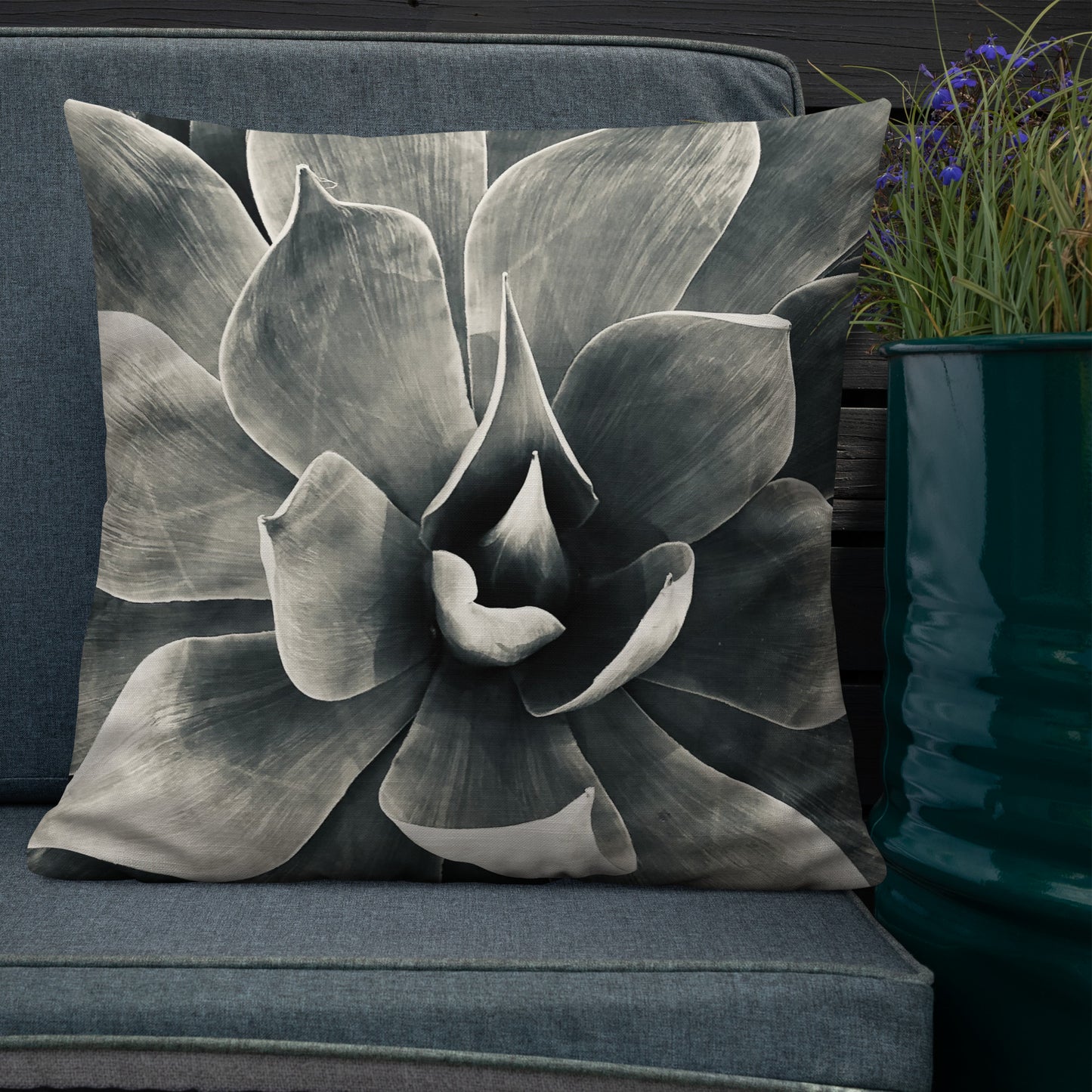 Agave (b + w) {a premium pillow}