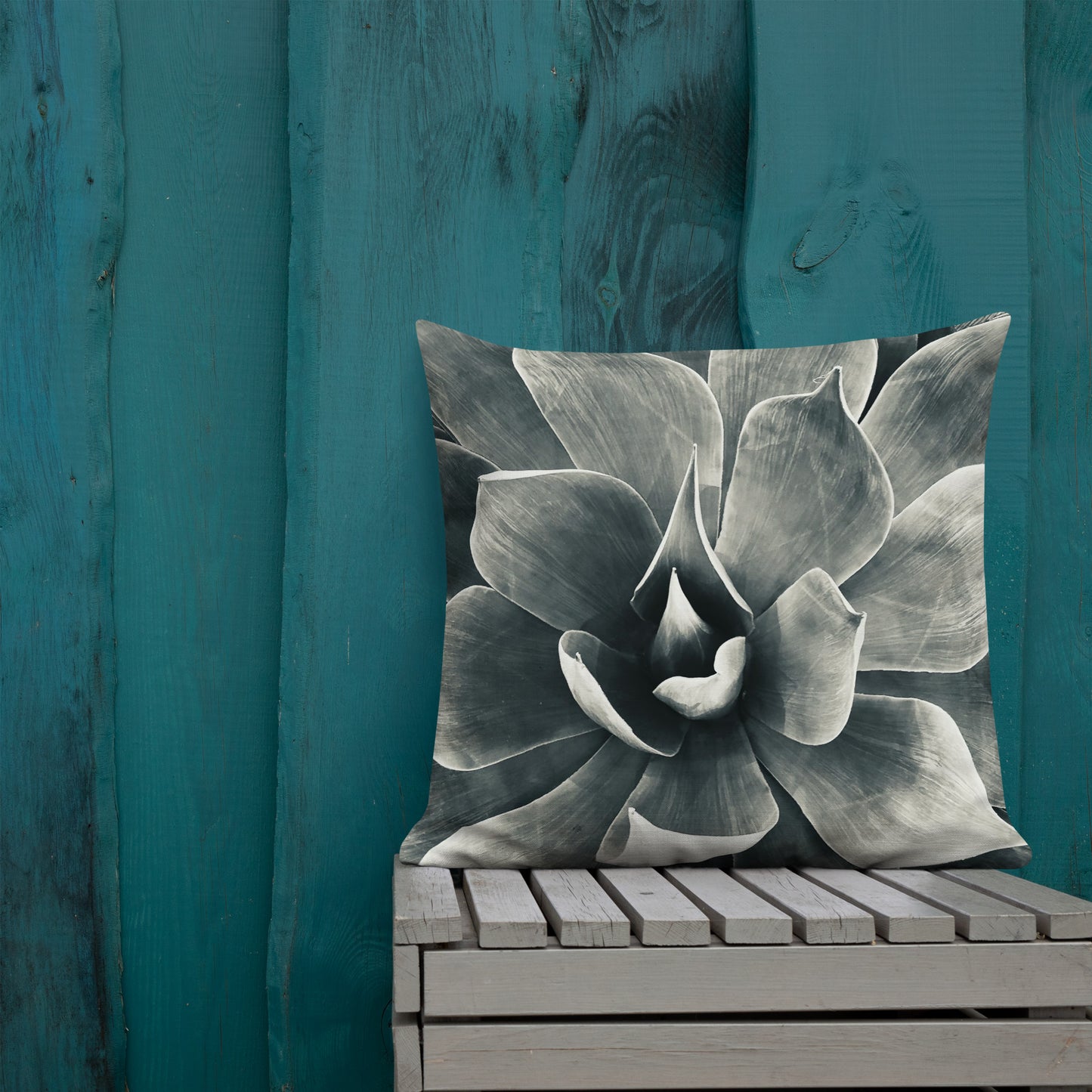 Agave (b + w) {a premium pillow}