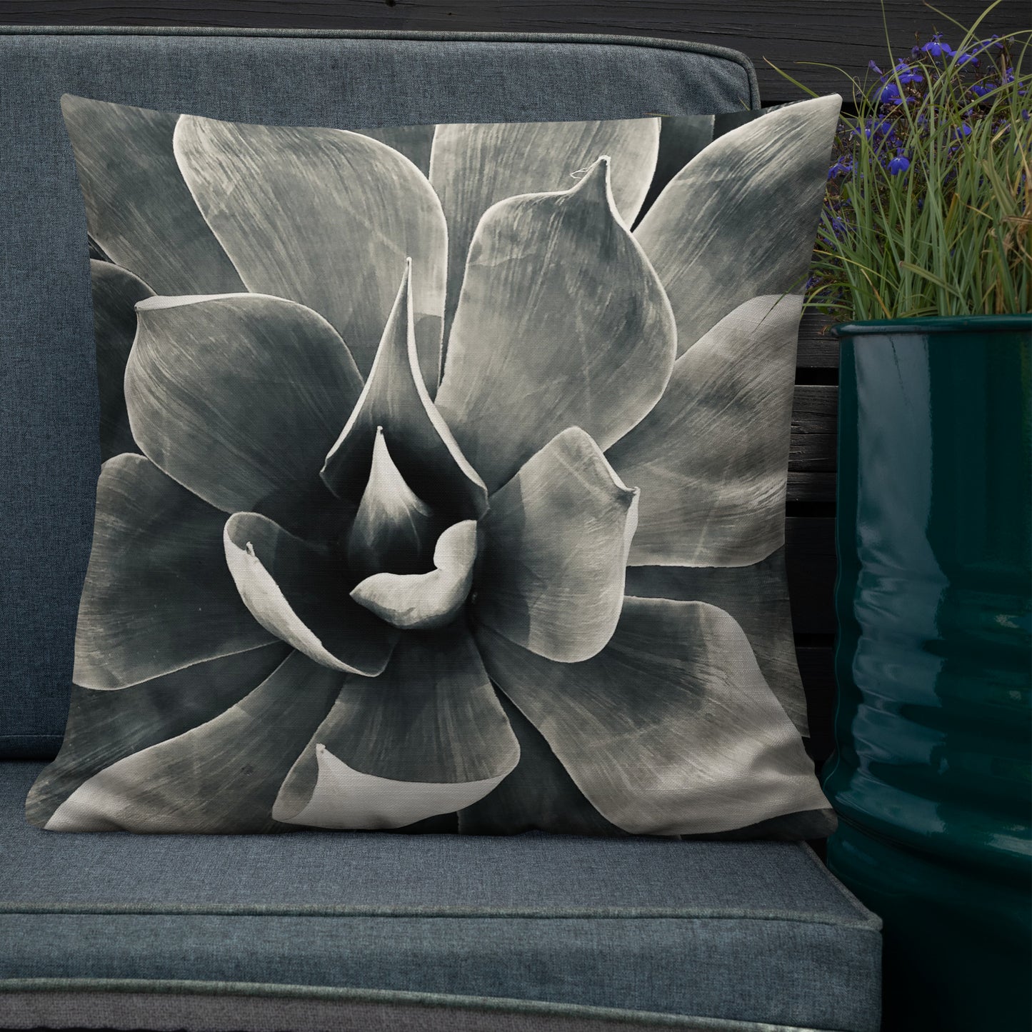 Agave (b + w) {a premium pillow}