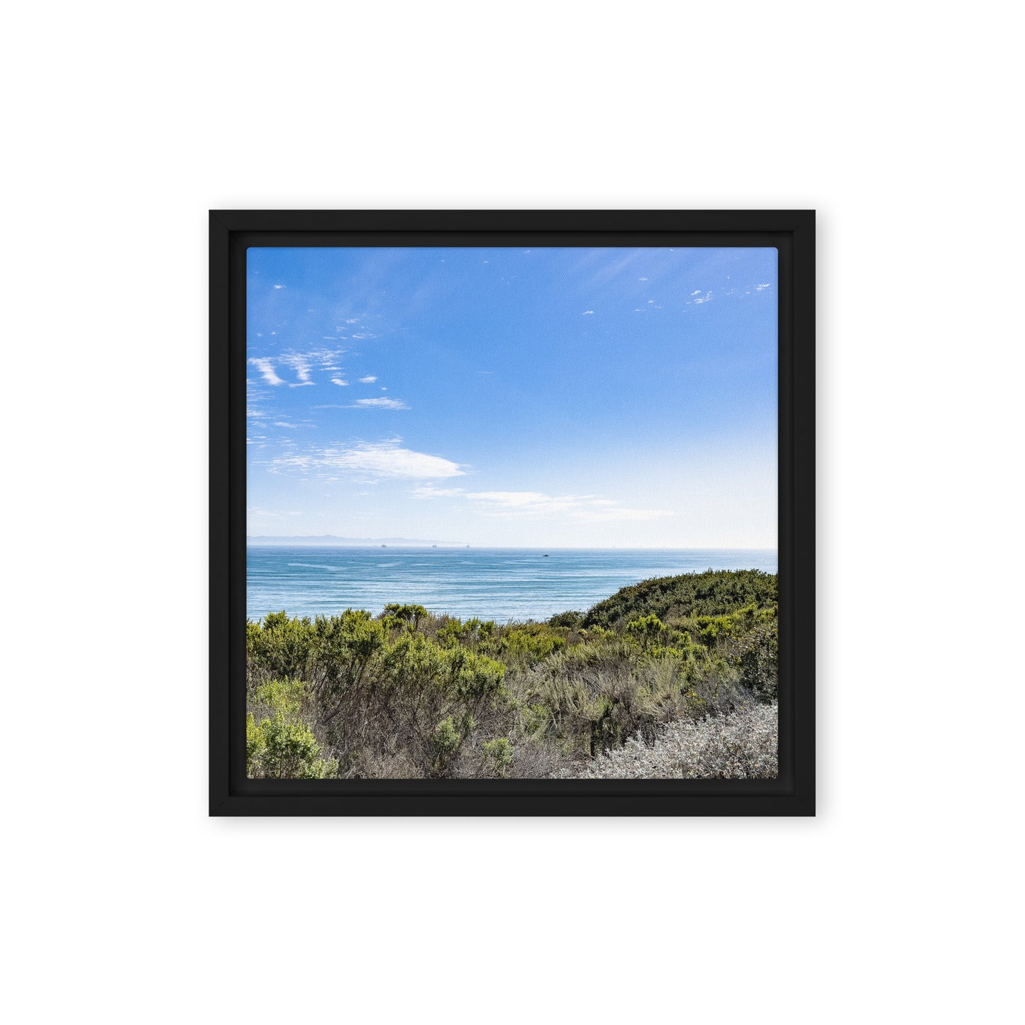 Blue Skies of California {a framed canvas}