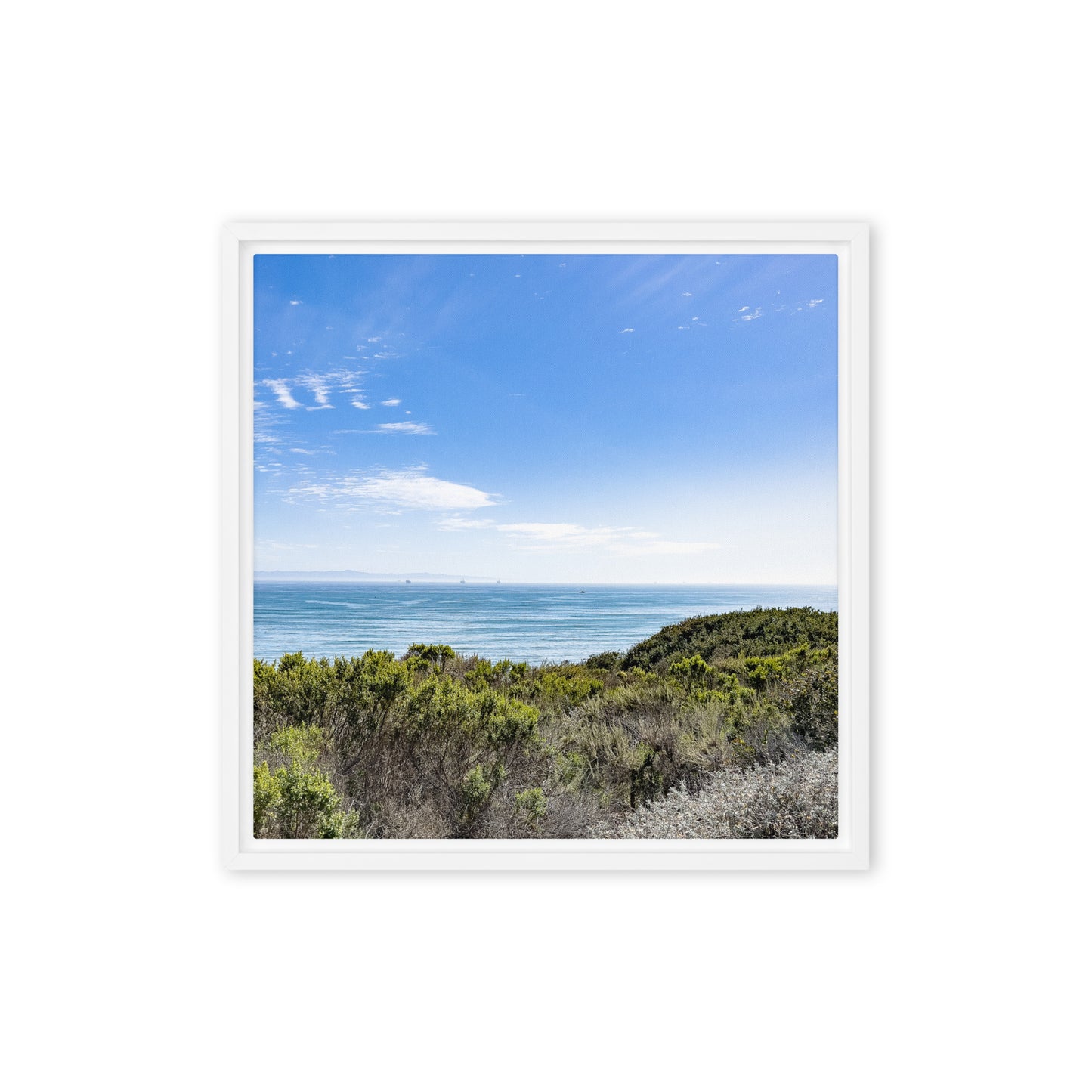 Blue Skies of California {a framed canvas}