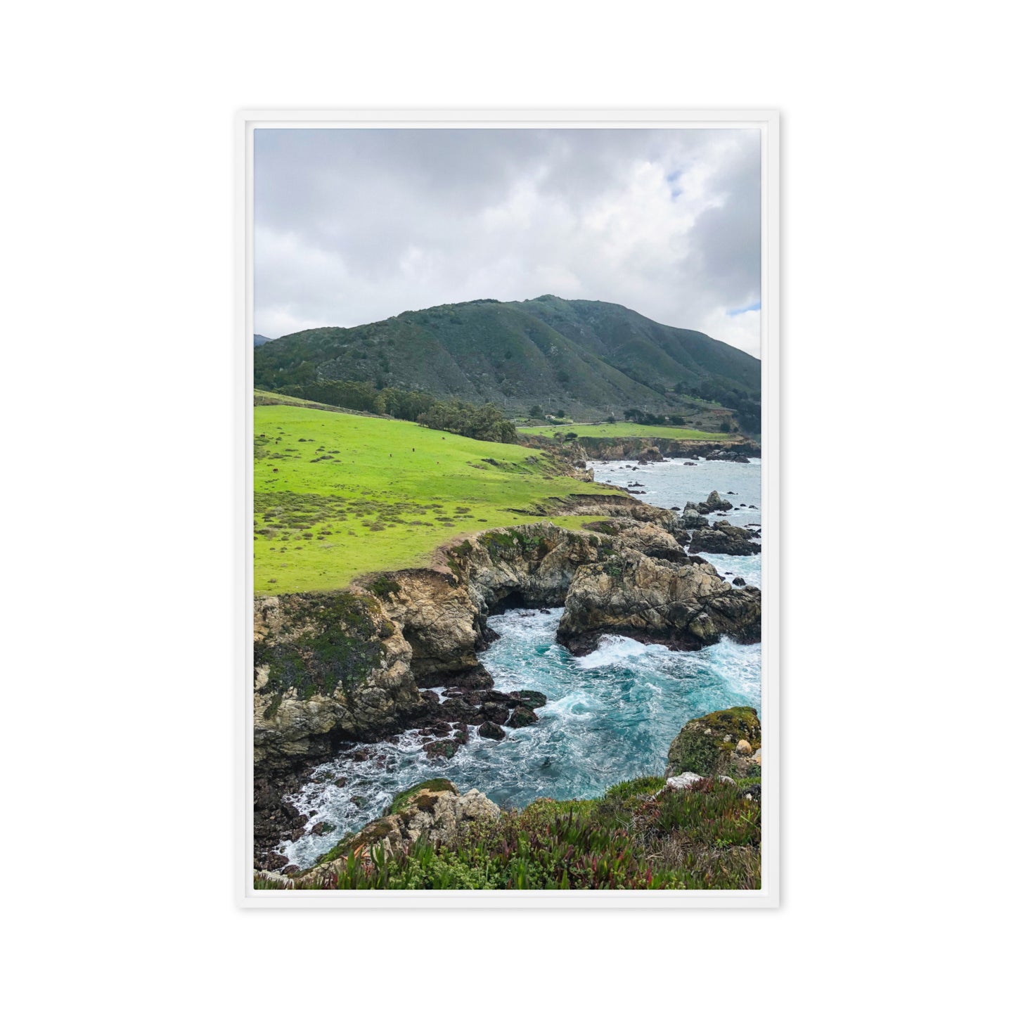 Big Sur {a framed canvas}
