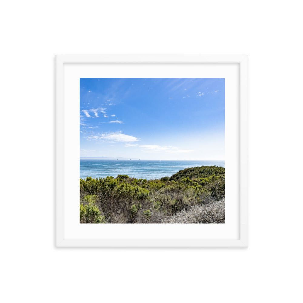 Blue Skies of California {a framed photo paper poster}