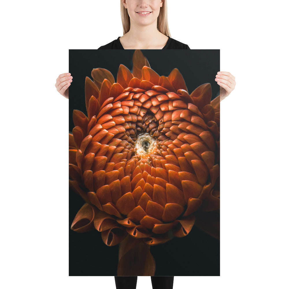 Dorothy {a poster on photo paper}