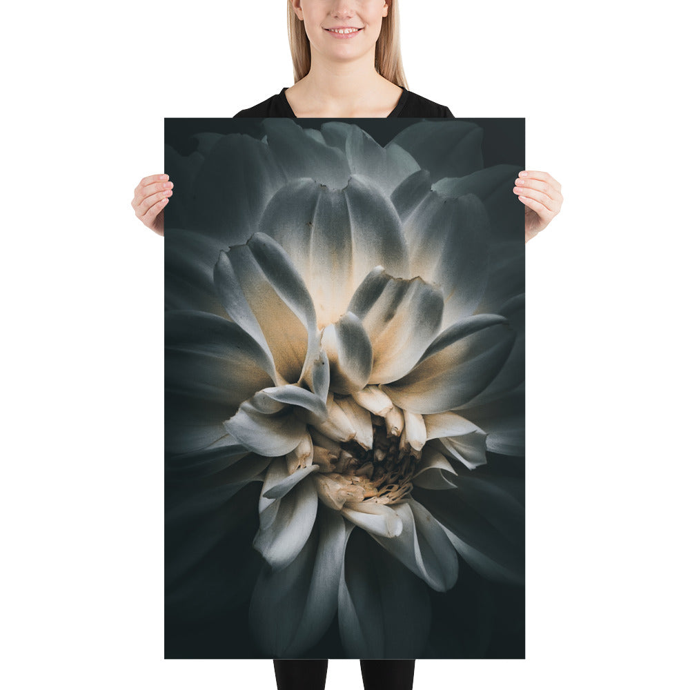 Rose {a poster on photo paper}