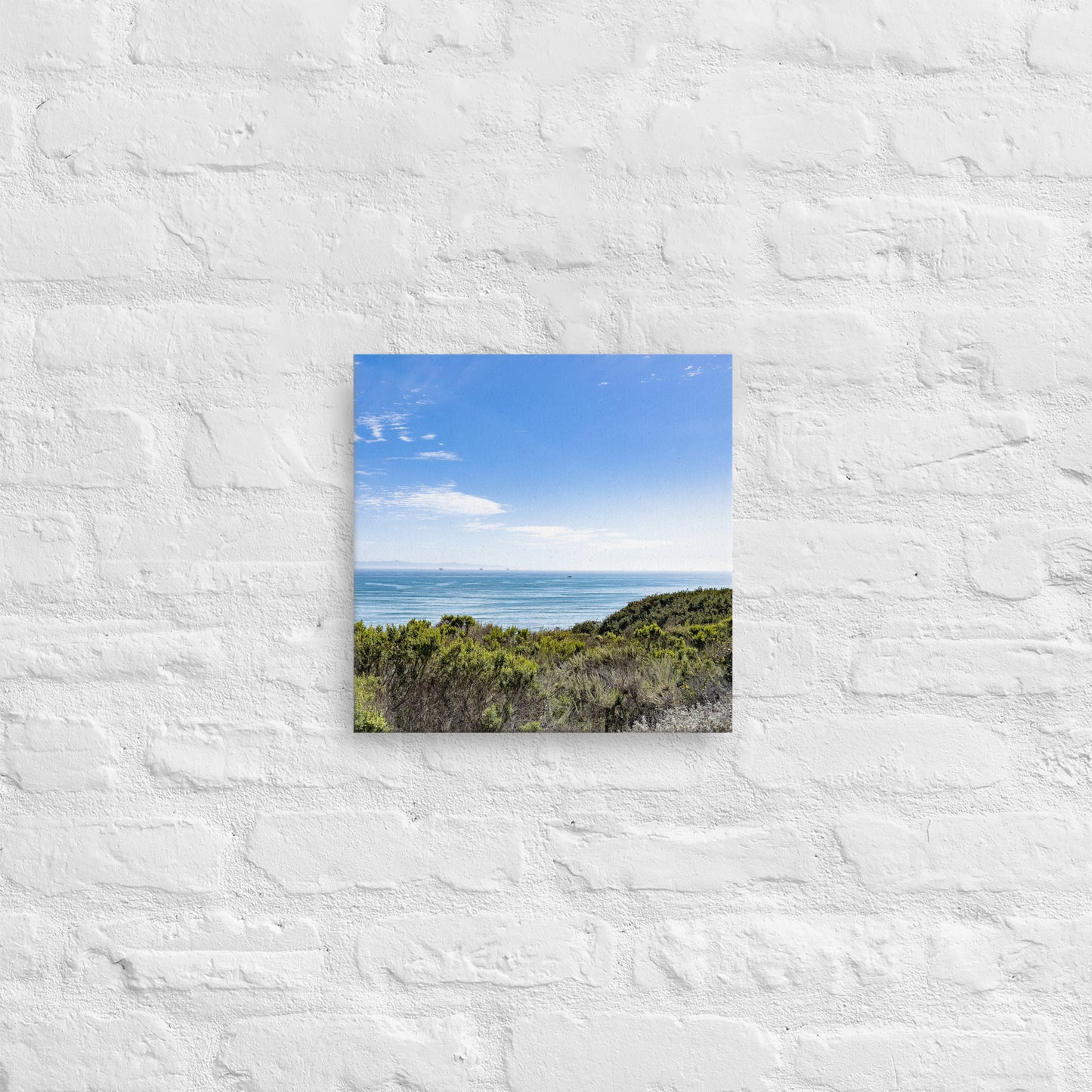 Blue Skies of California {a thin canvas}