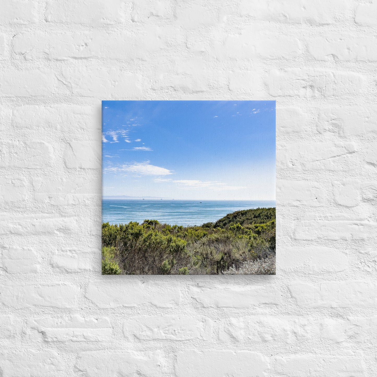 Blue Skies of California {a thin canvas}