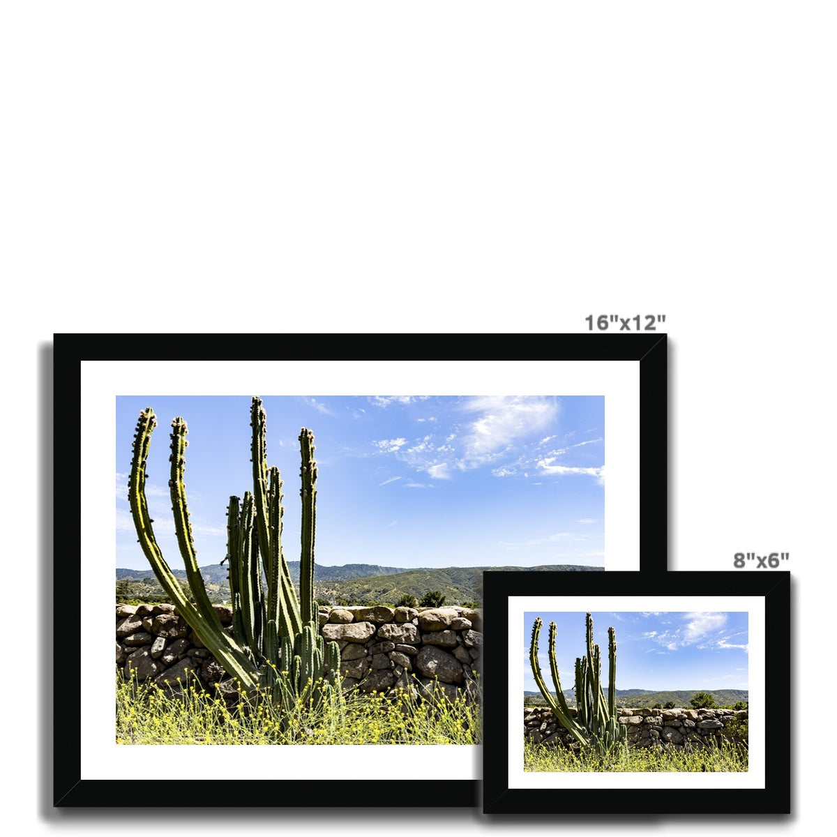 Ojai Cactus Framed Print