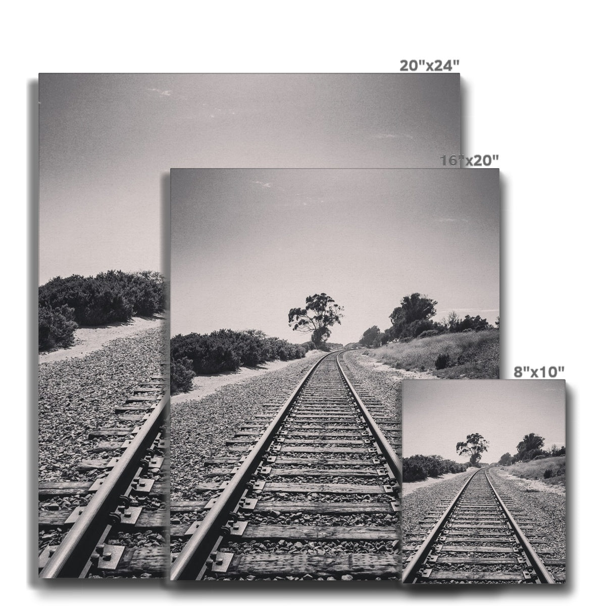 Pacific Surfliner (b+w) Canvas