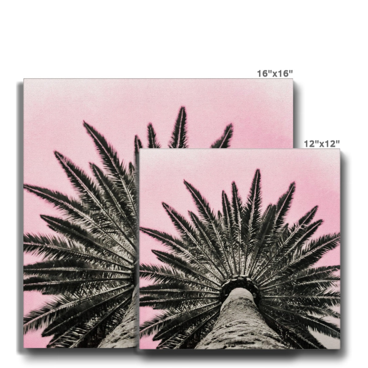 Pinky Palm Canvas