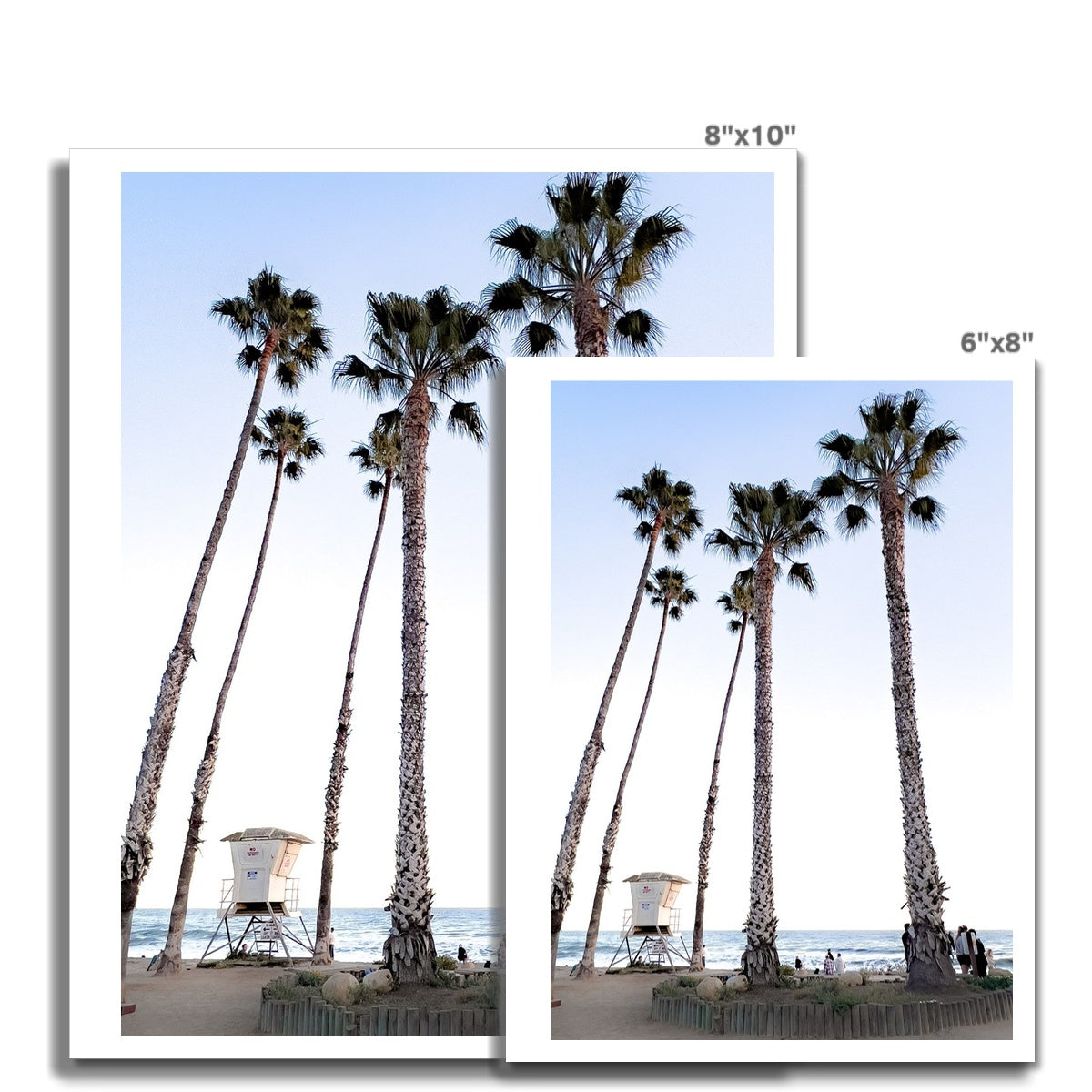 Safety Among the Palms Photo Art Print