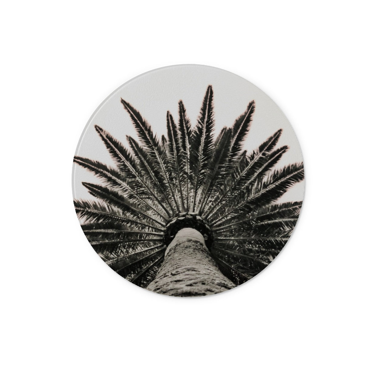 Snowy Palm Glass Chopping Board