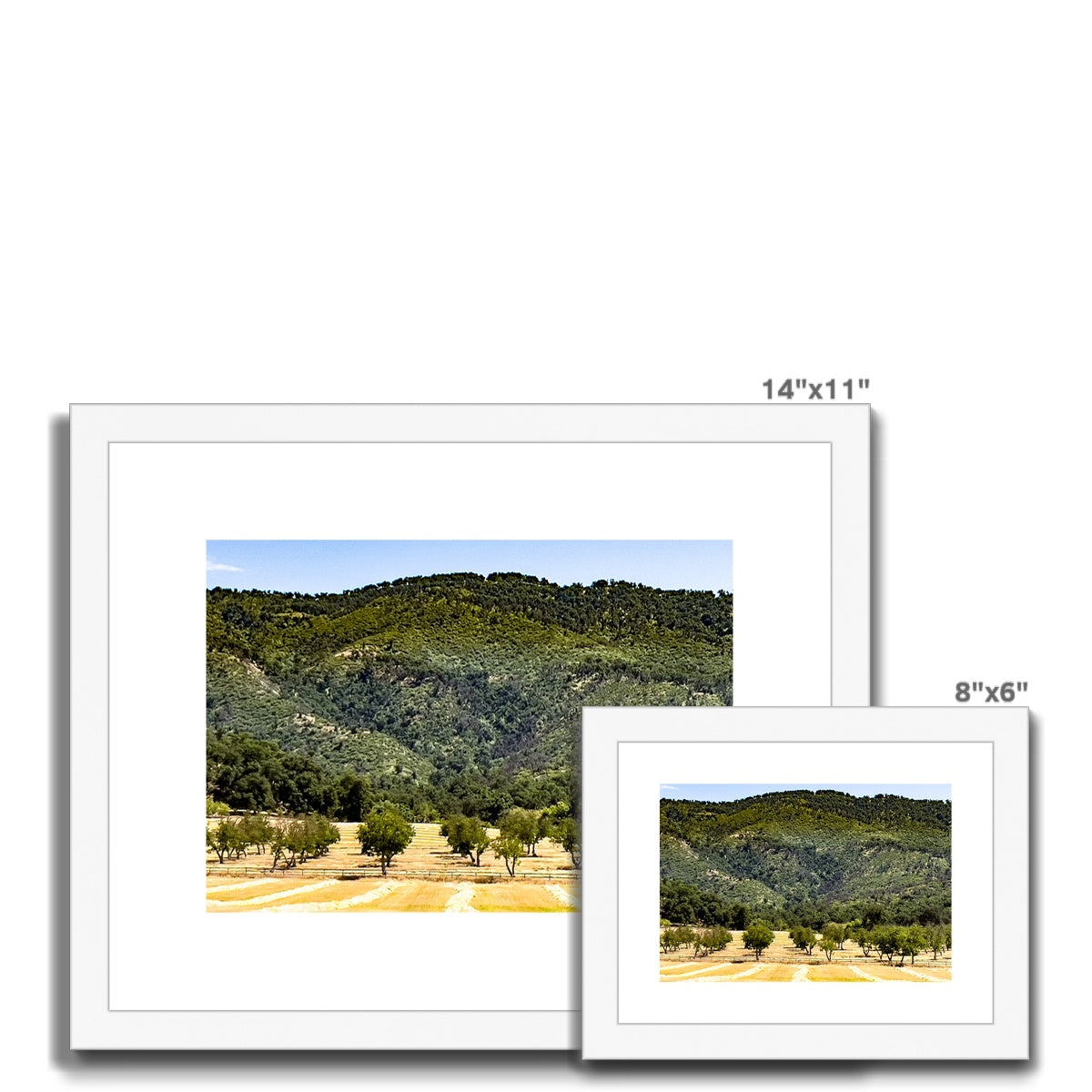 Ojai Valley {before summer} Framed & Mounted Print