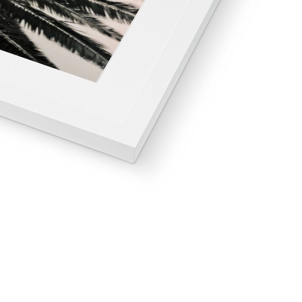 Tinty Palm Framed & Mounted Print