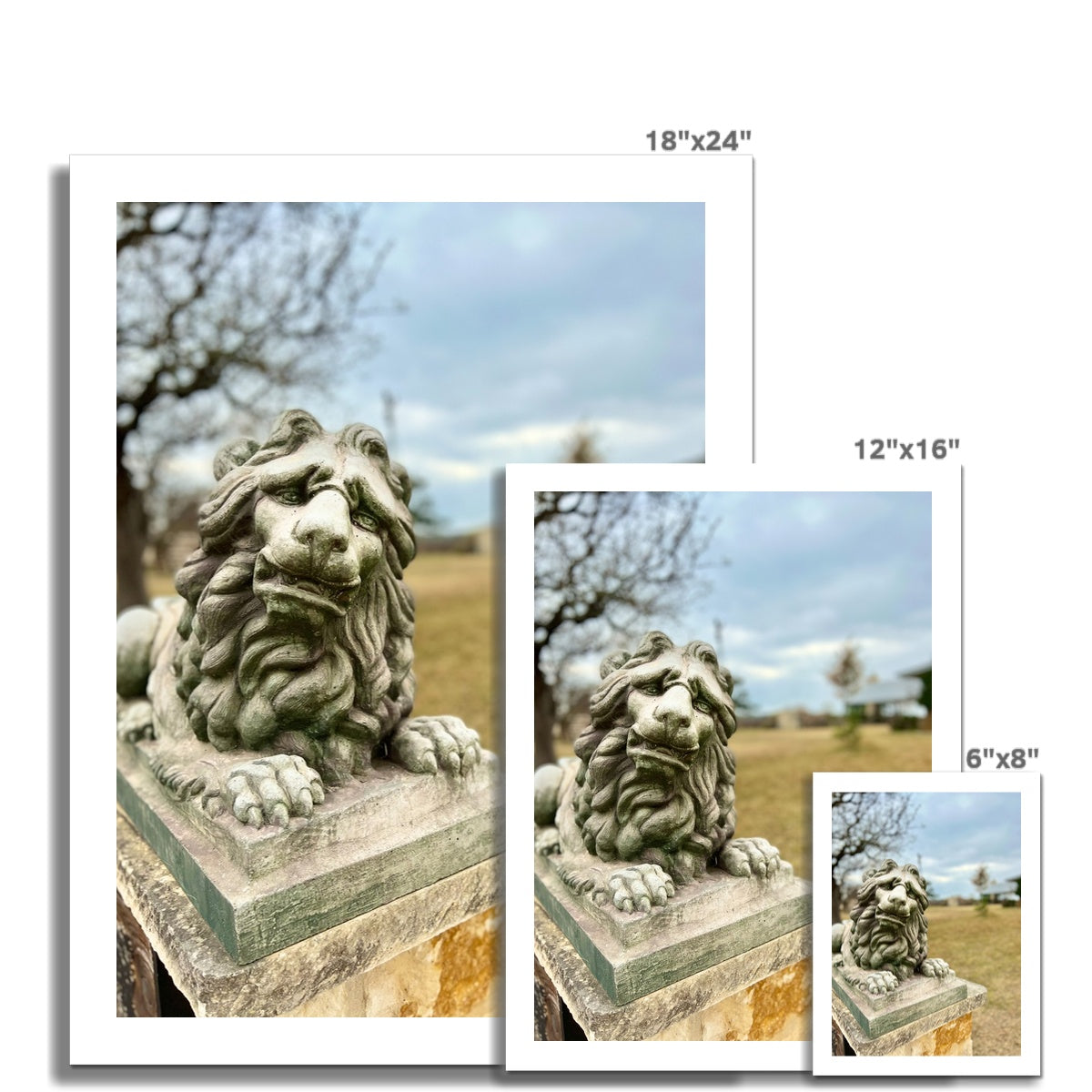 Fredericksburg Friend Photo Art Print