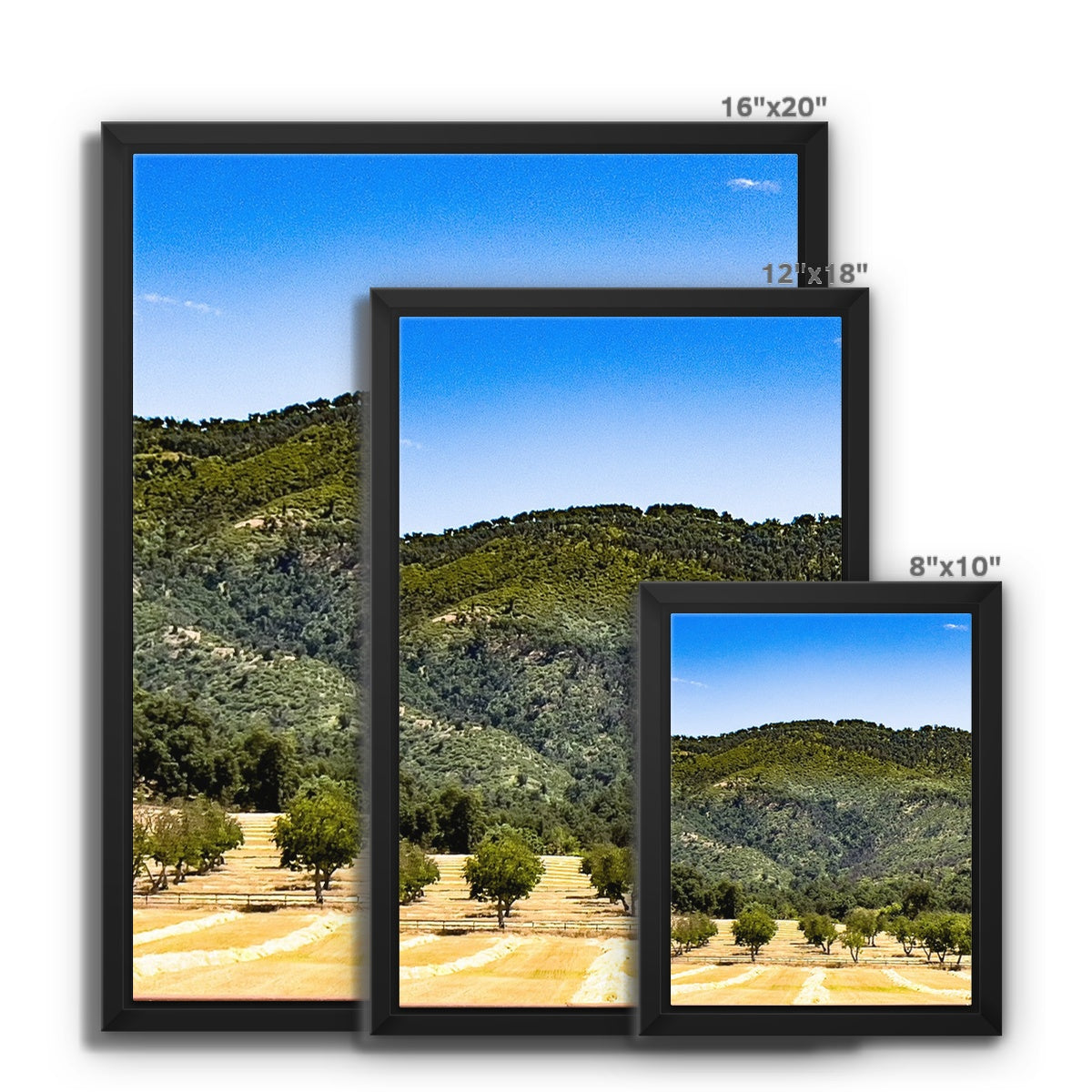 Ojai Valley {before summer} Framed Canvas