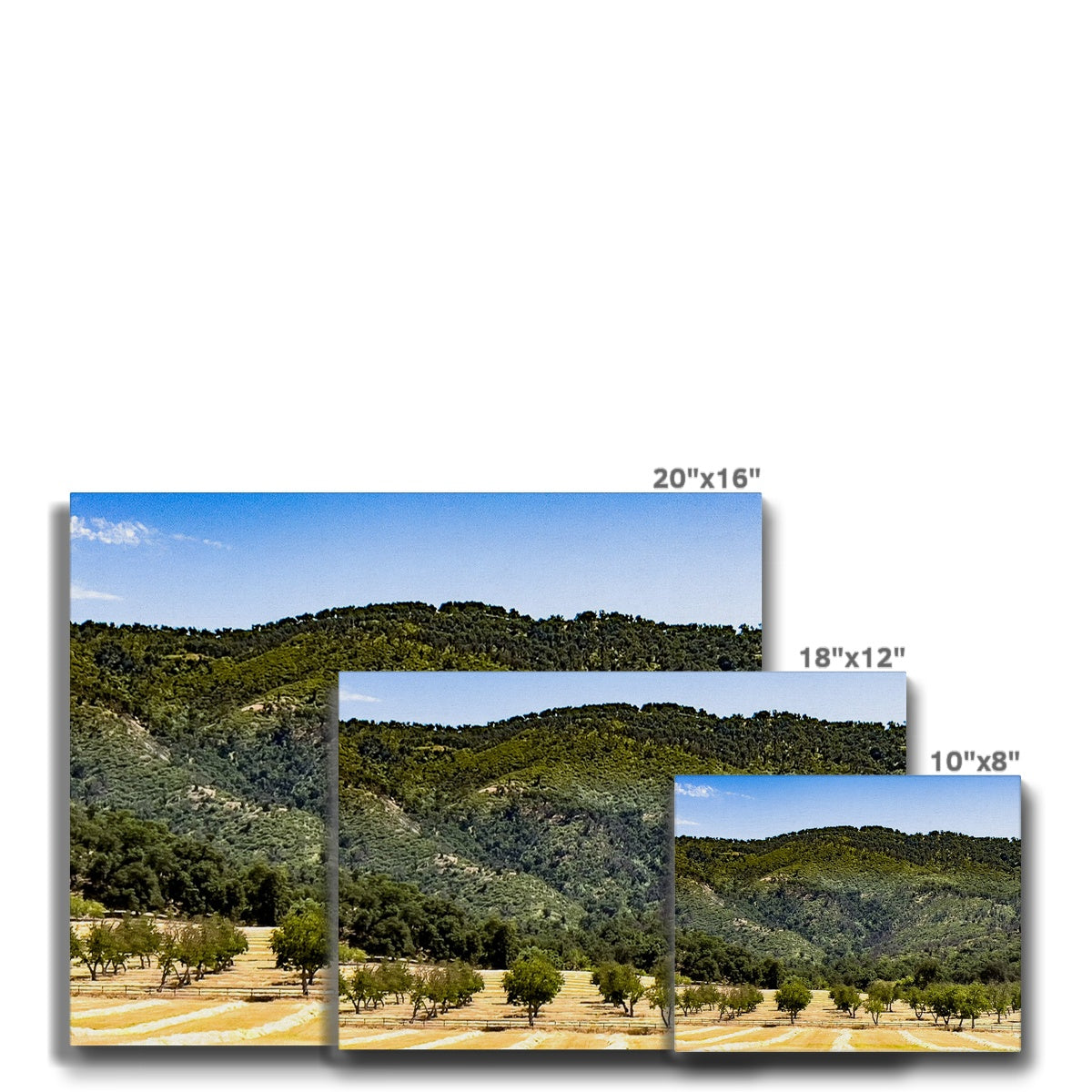 Ojai Valley {before summer} Canvas