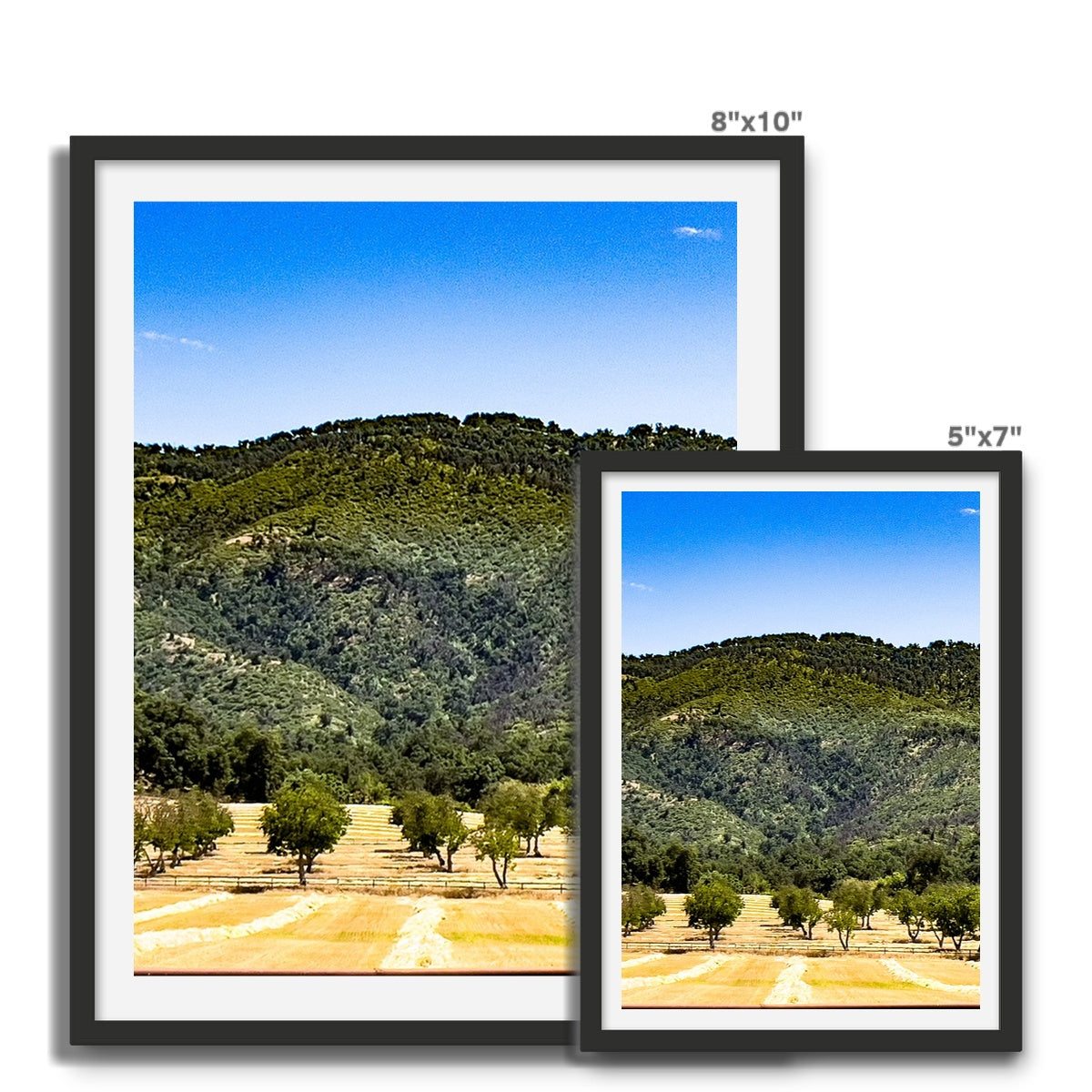 Ojai Valley {before summer} Framed Photo Tile