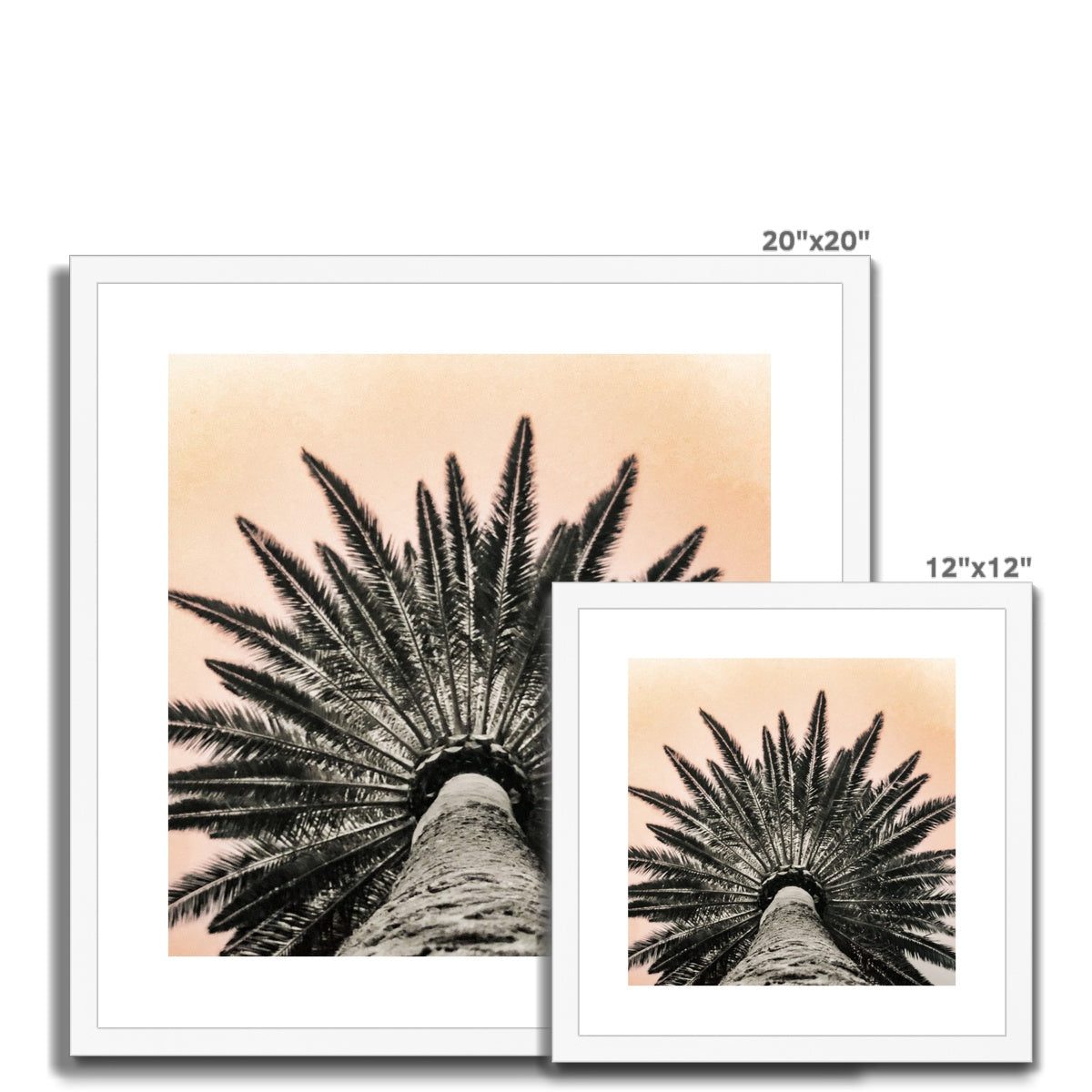 Tinty Palm Framed & Mounted Print