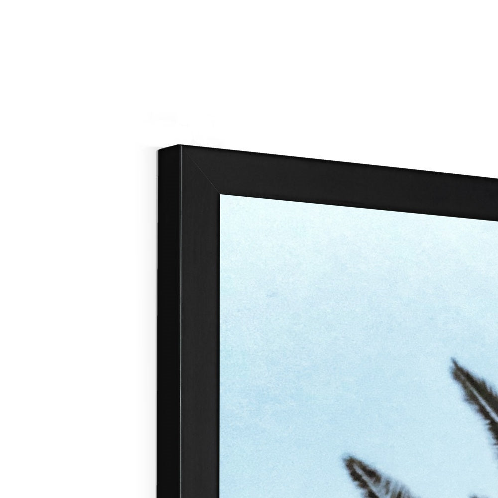 Bluey Palm Framed Print