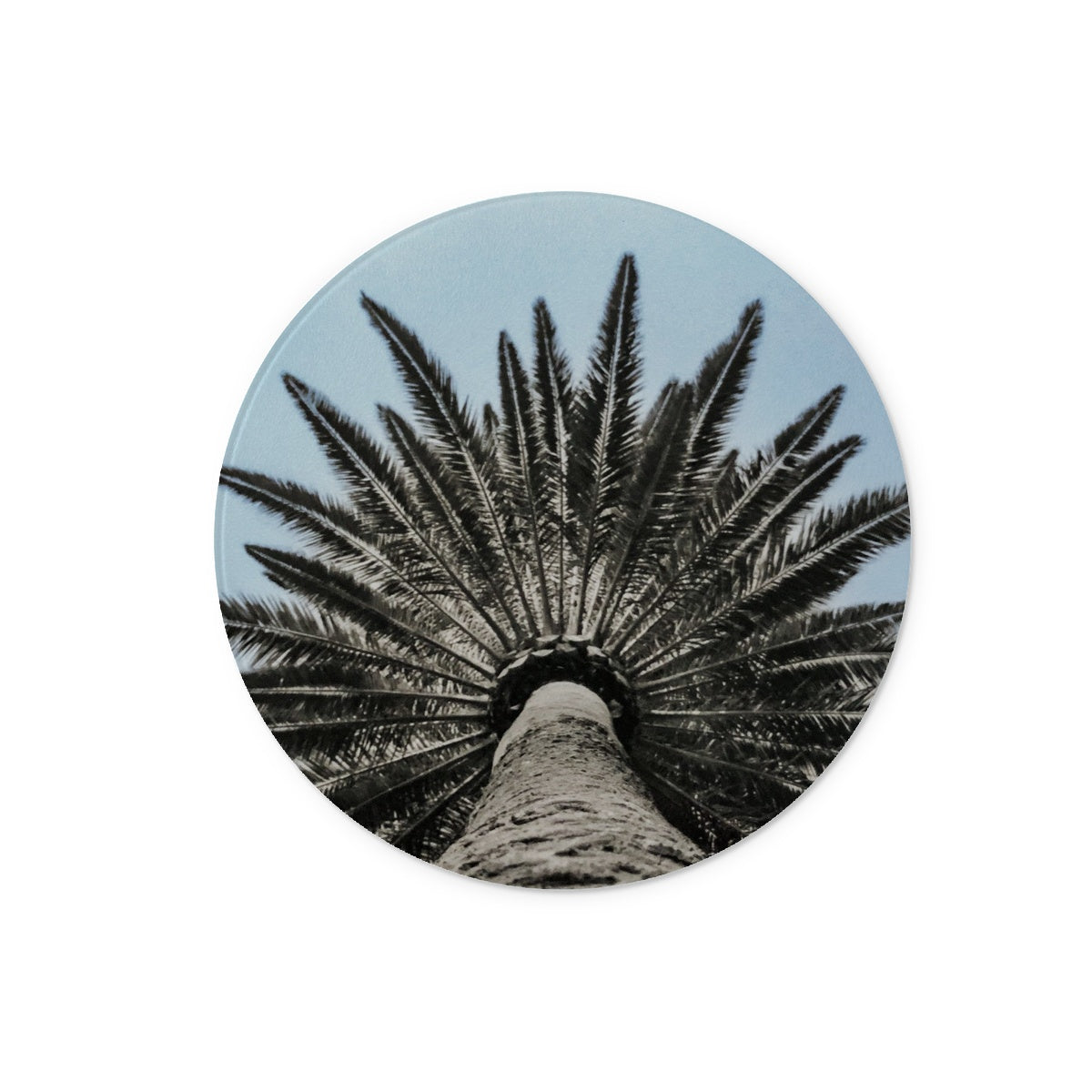 Bluey Palm Glass Chopping Board