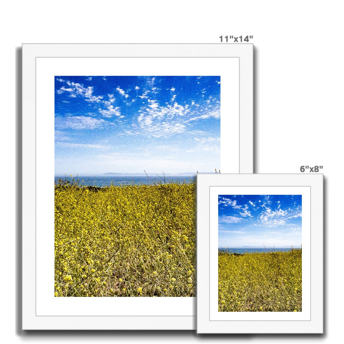 Santa Barbara Stands With Ukraine Framed Print