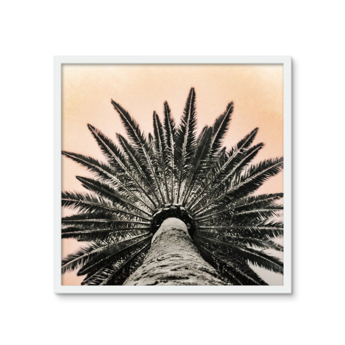 Tinty Palm Framed Photo Tile
