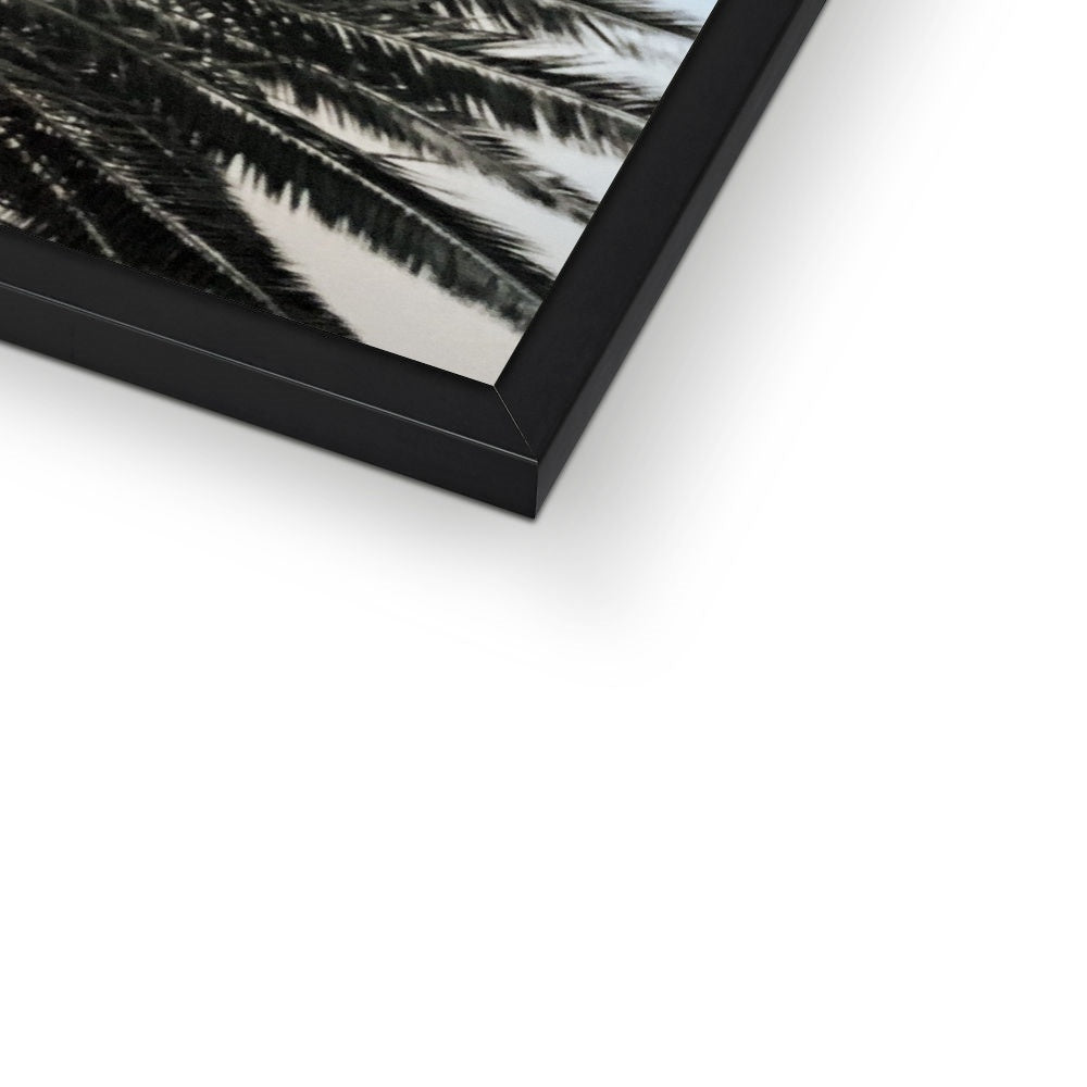 Bluey Palm Framed Print