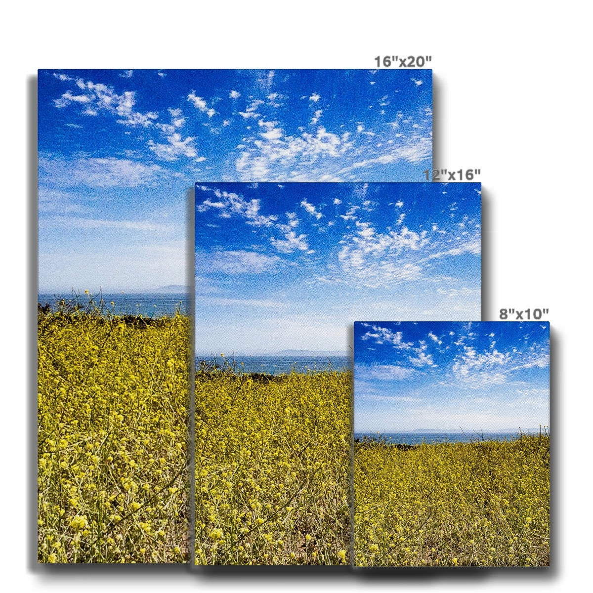 Santa Barbara Stands With Ukraine Canvas