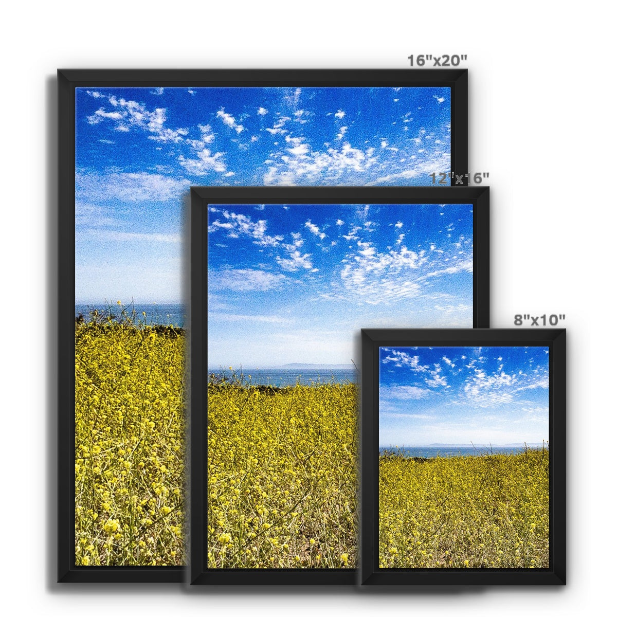 Santa Barbara Stands With Ukraine Framed Canvas