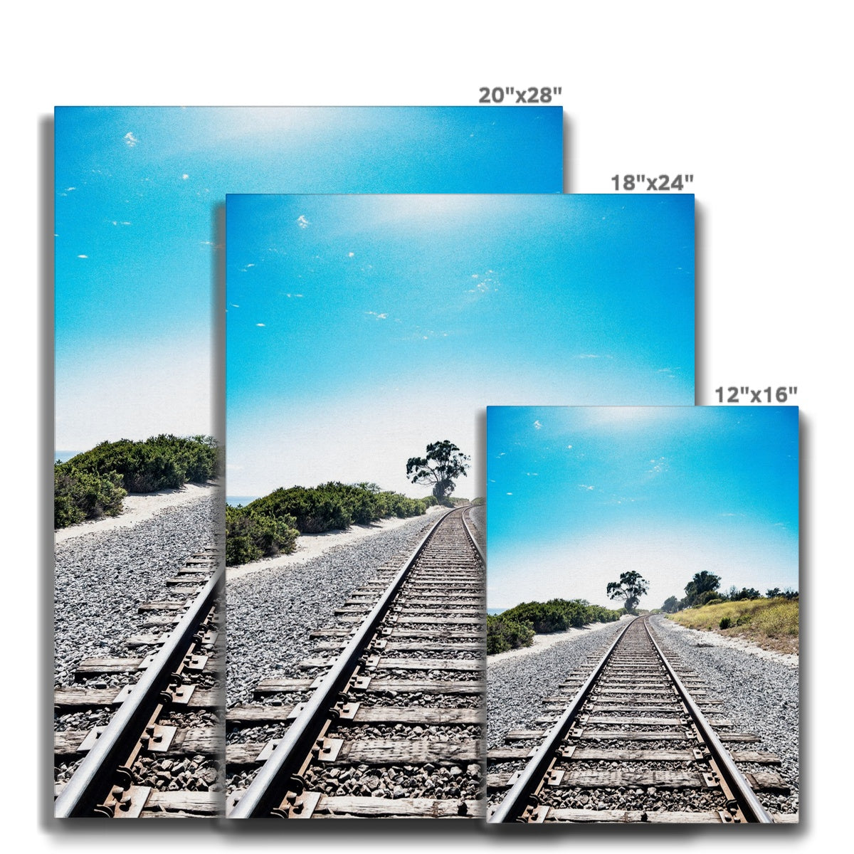 Pacific Surfliner Canvas