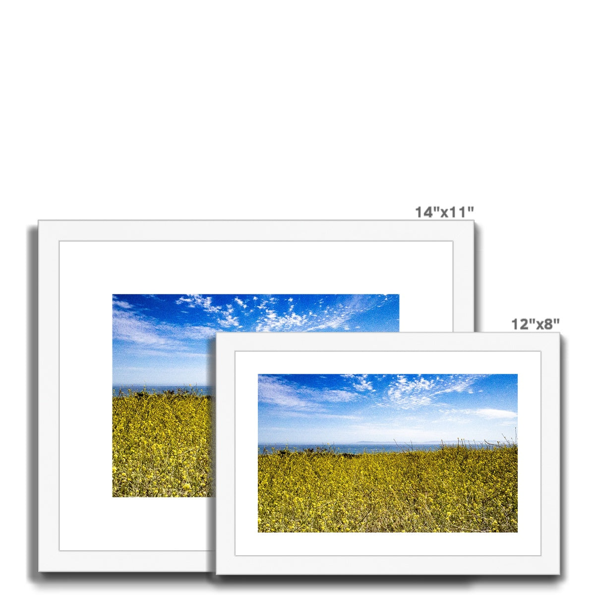 Santa Barbara Stands With Ukraine Framed & Mounted Print