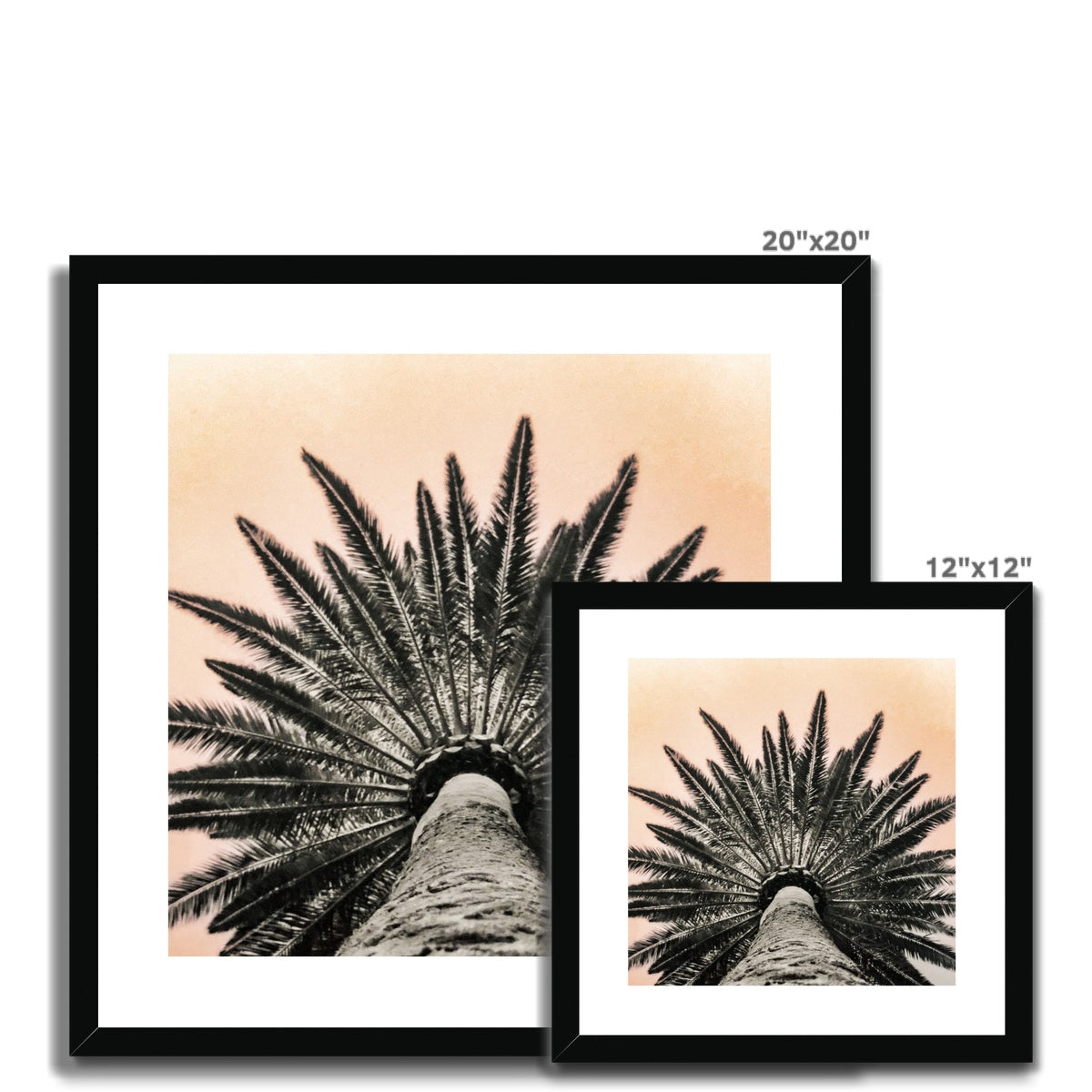 Tinty Palm Framed & Mounted Print