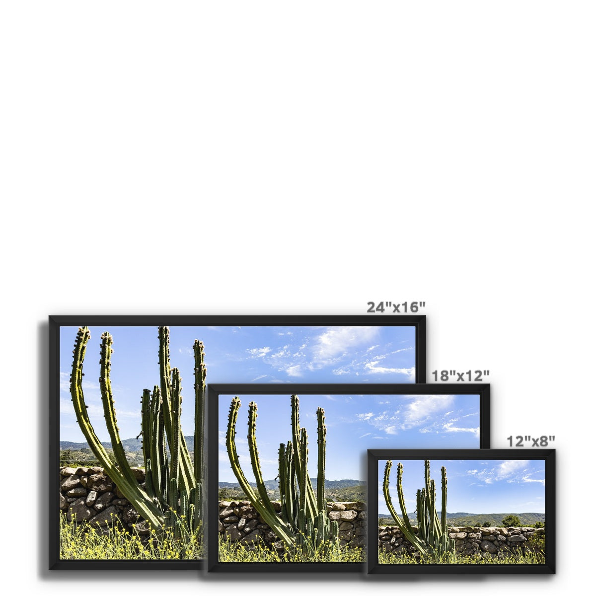 Ojai Cactus Framed Canvas