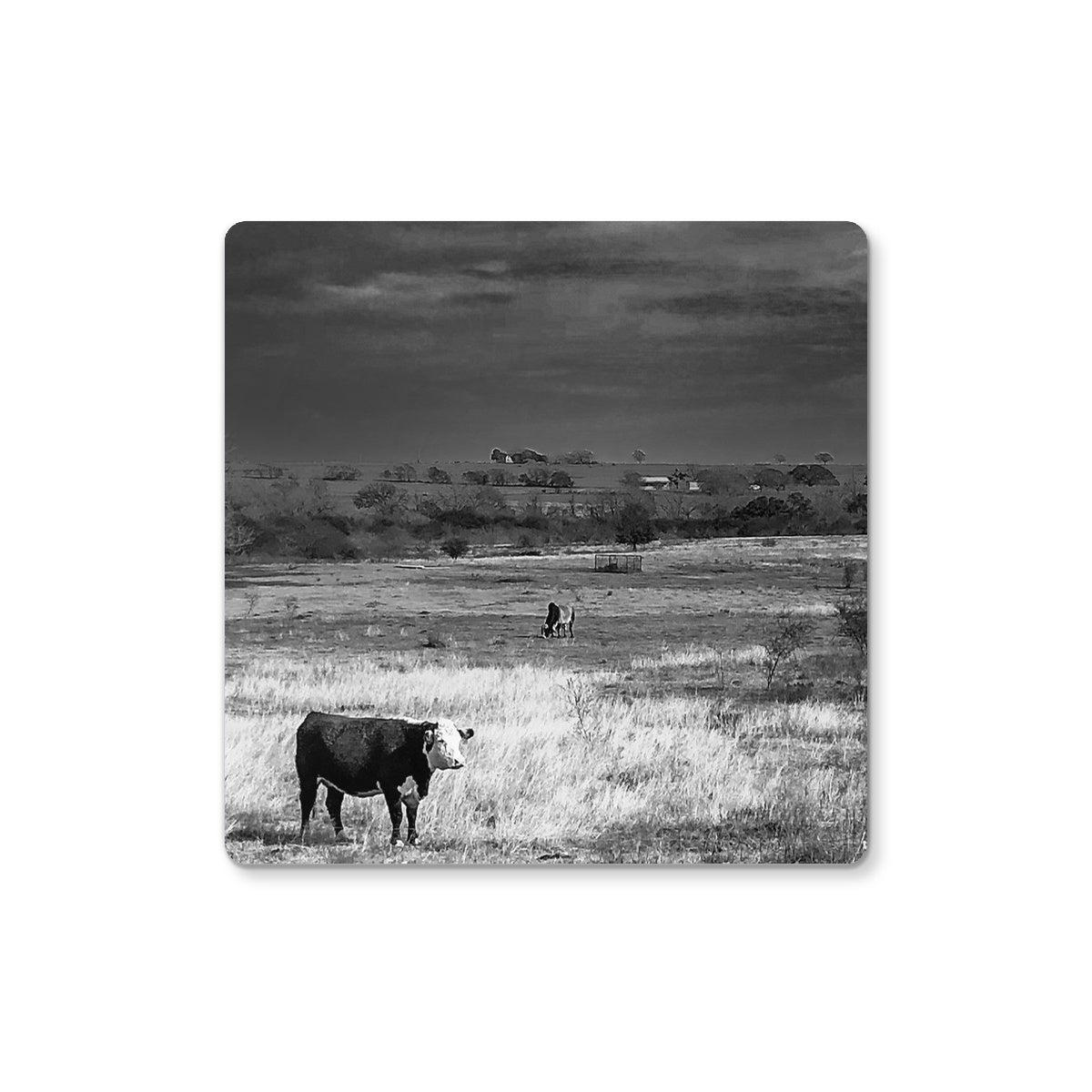 Hereford Horizon (b+w) Coaster