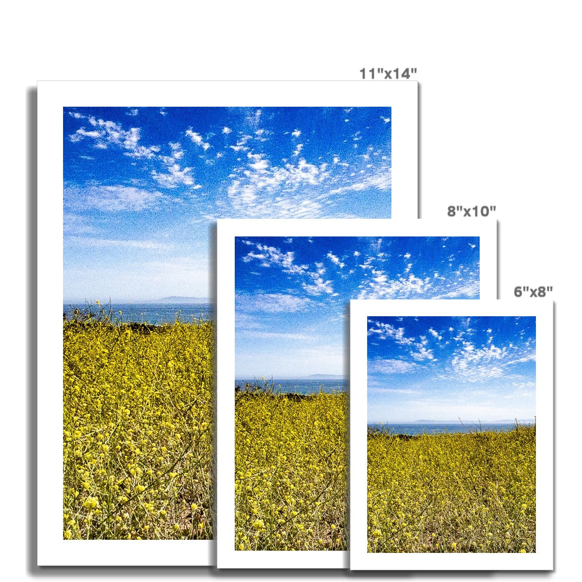 Santa Barbara Stands With Ukraine Photo Art Print