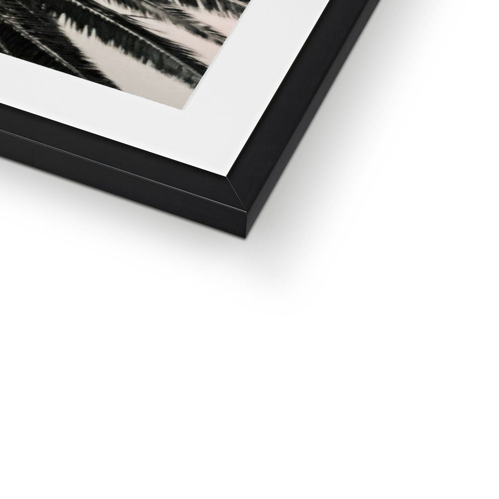 Tinty Palm Framed & Mounted Print