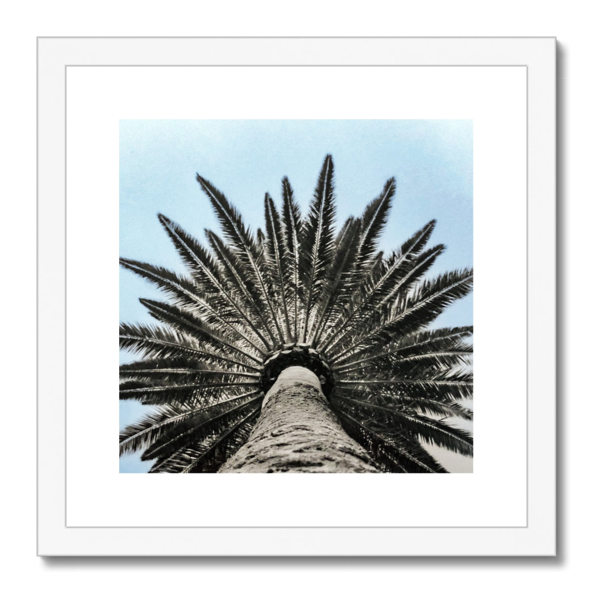 Bluey Palm Framed & Mounted Print