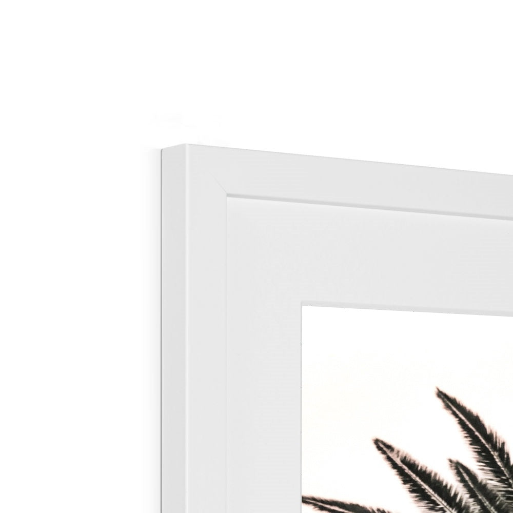 Snowy Palm Framed & Mounted Print