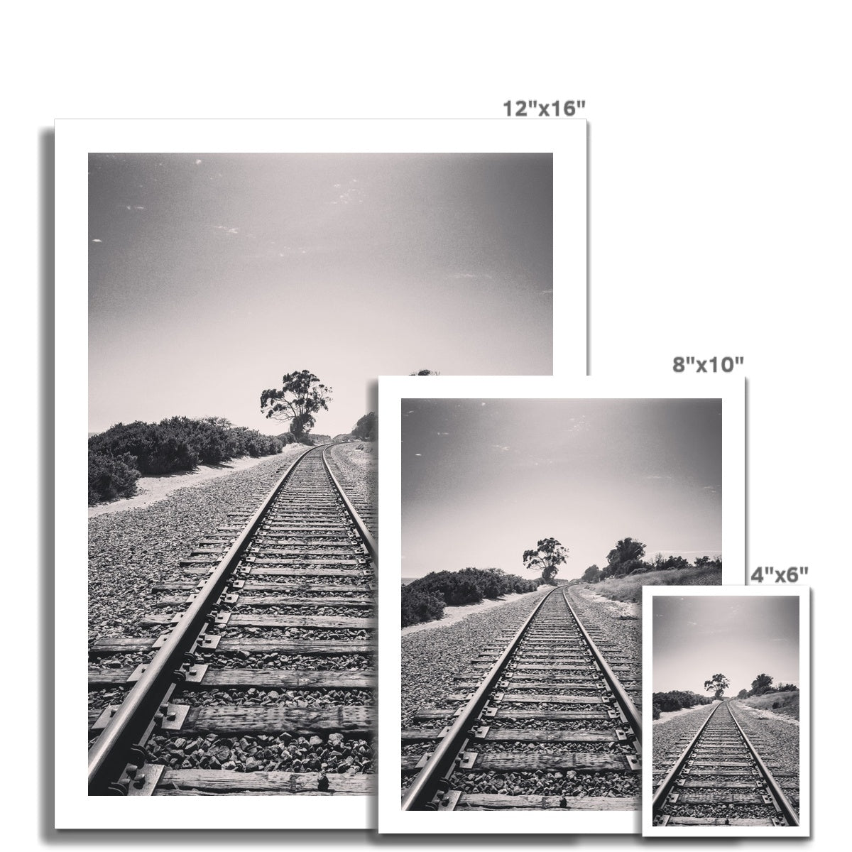 Pacific Surfliner (b+w) Photo Art Print