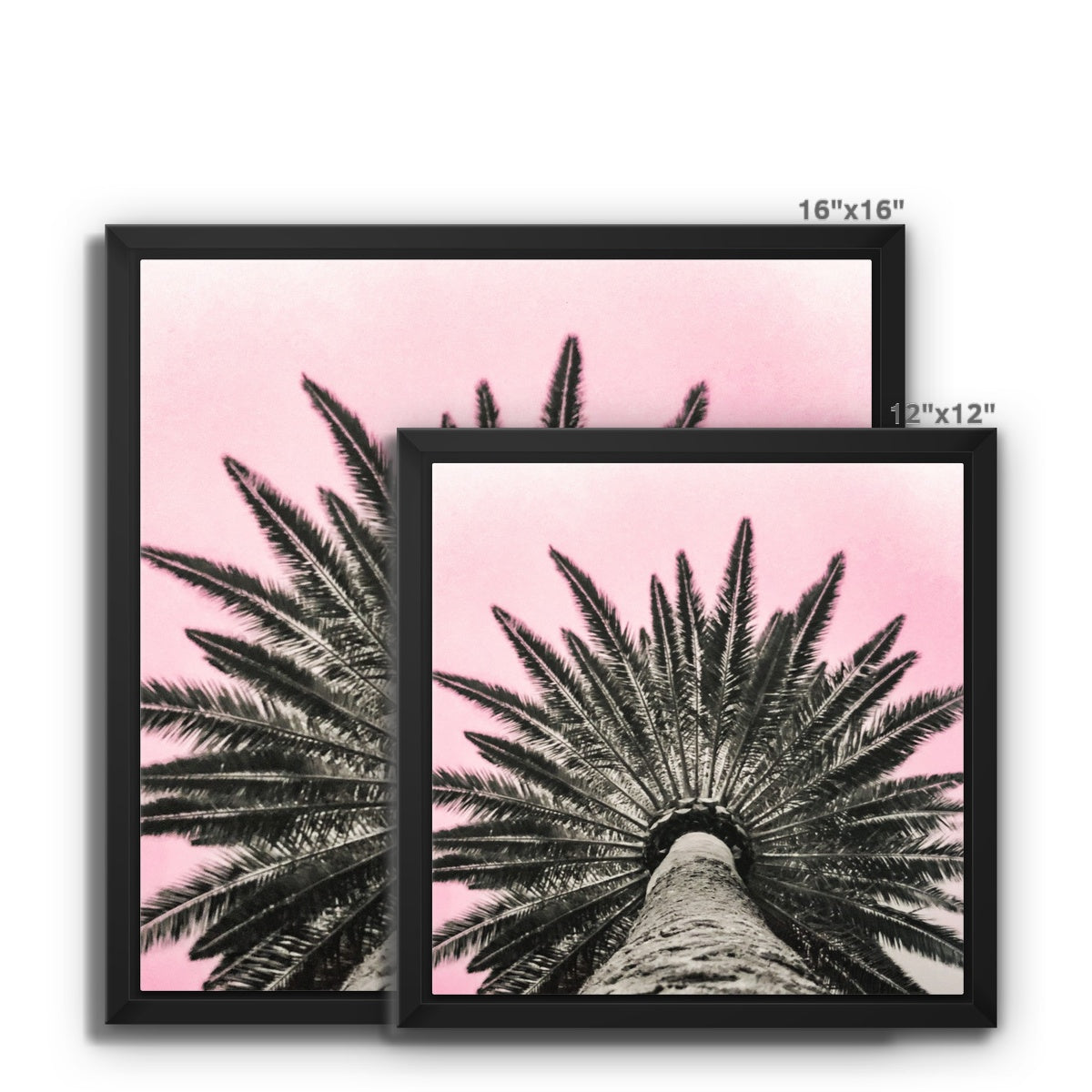 Pinky Palm Framed Canvas