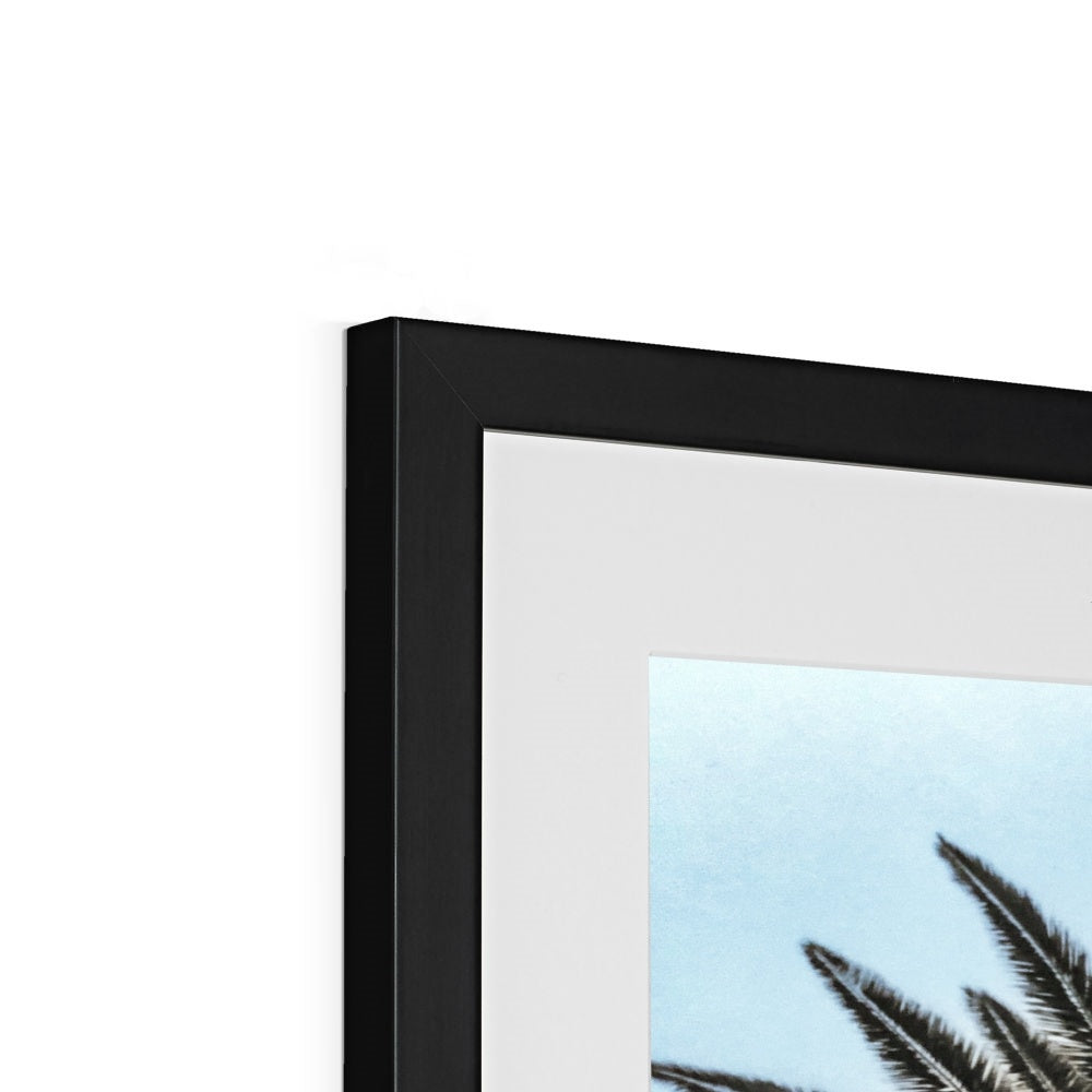 Bluey Palm Framed & Mounted Print