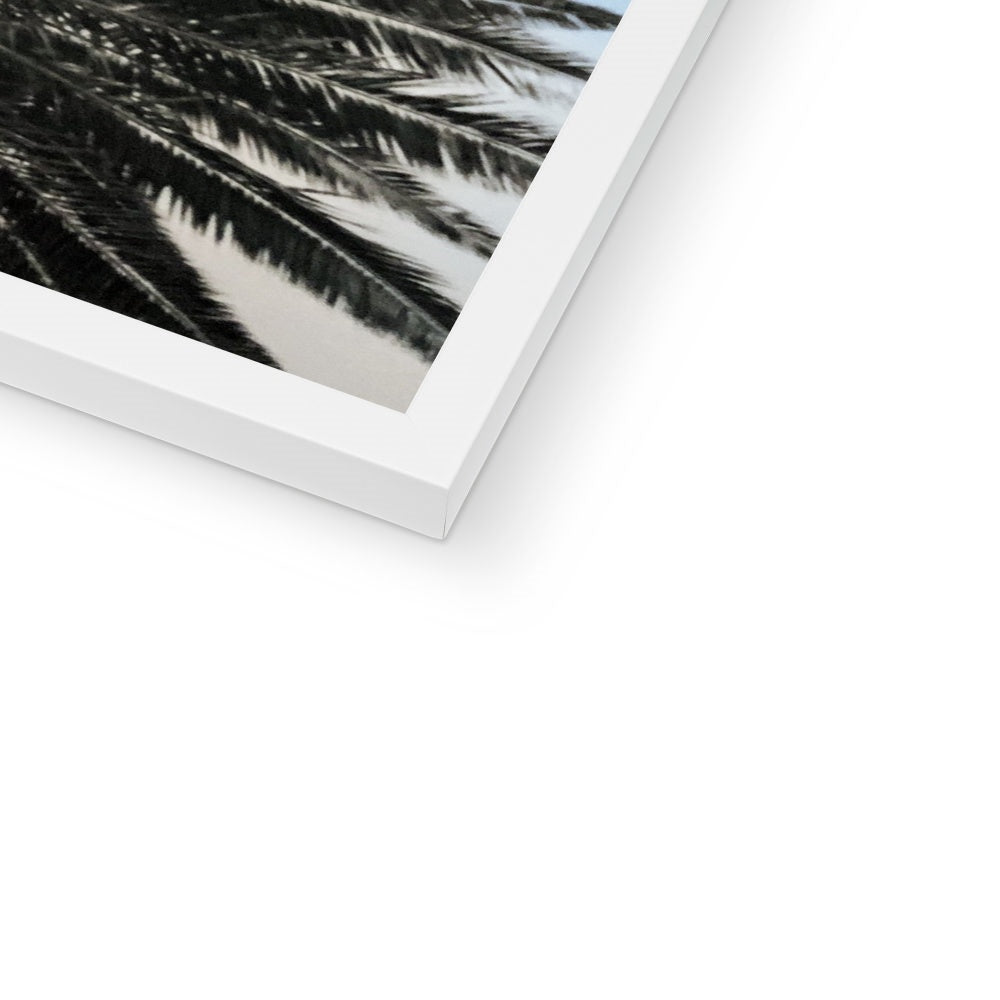 Bluey Palm Framed Print