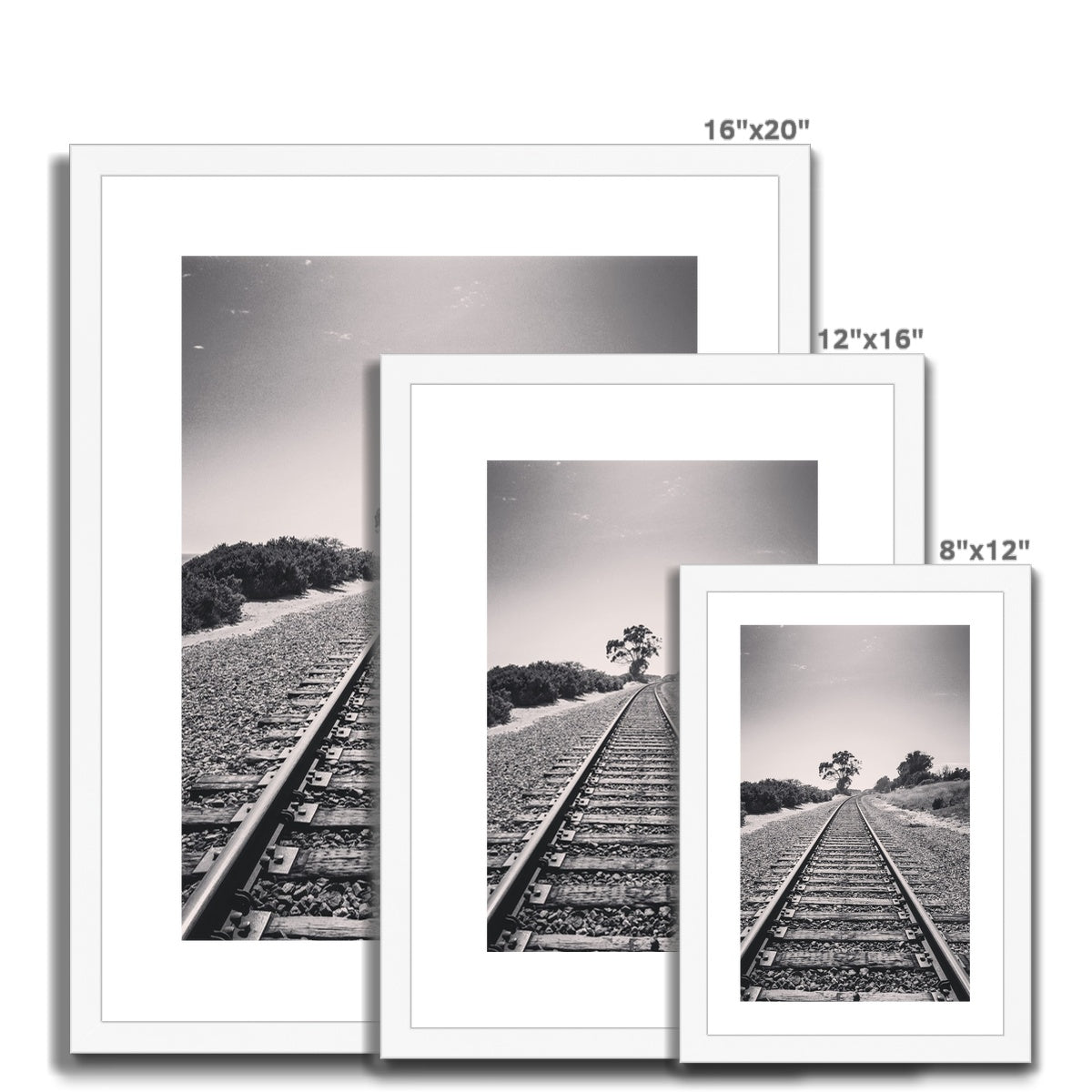 Pacific Surfliner (b+w) Framed & Mounted Print