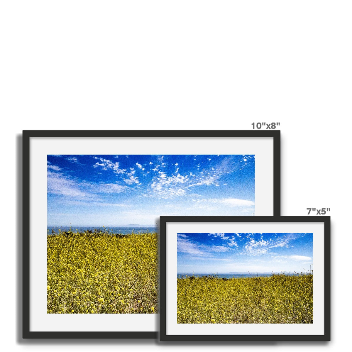 Santa Barbara Stands With Ukraine Framed Photo Tile