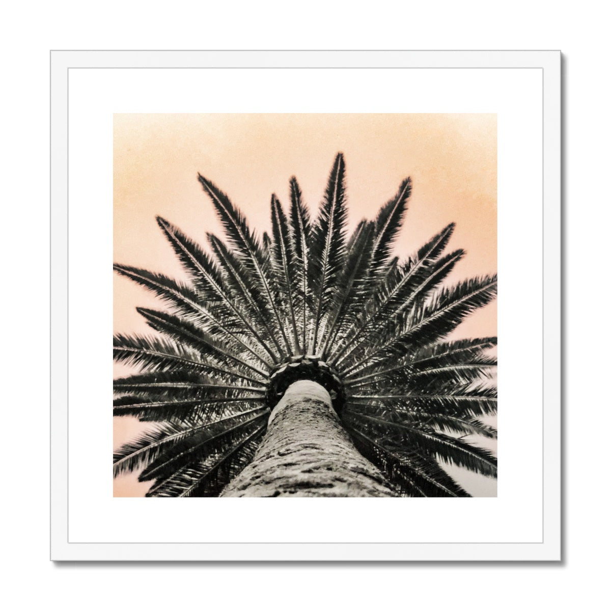 Tinty Palm Framed & Mounted Print